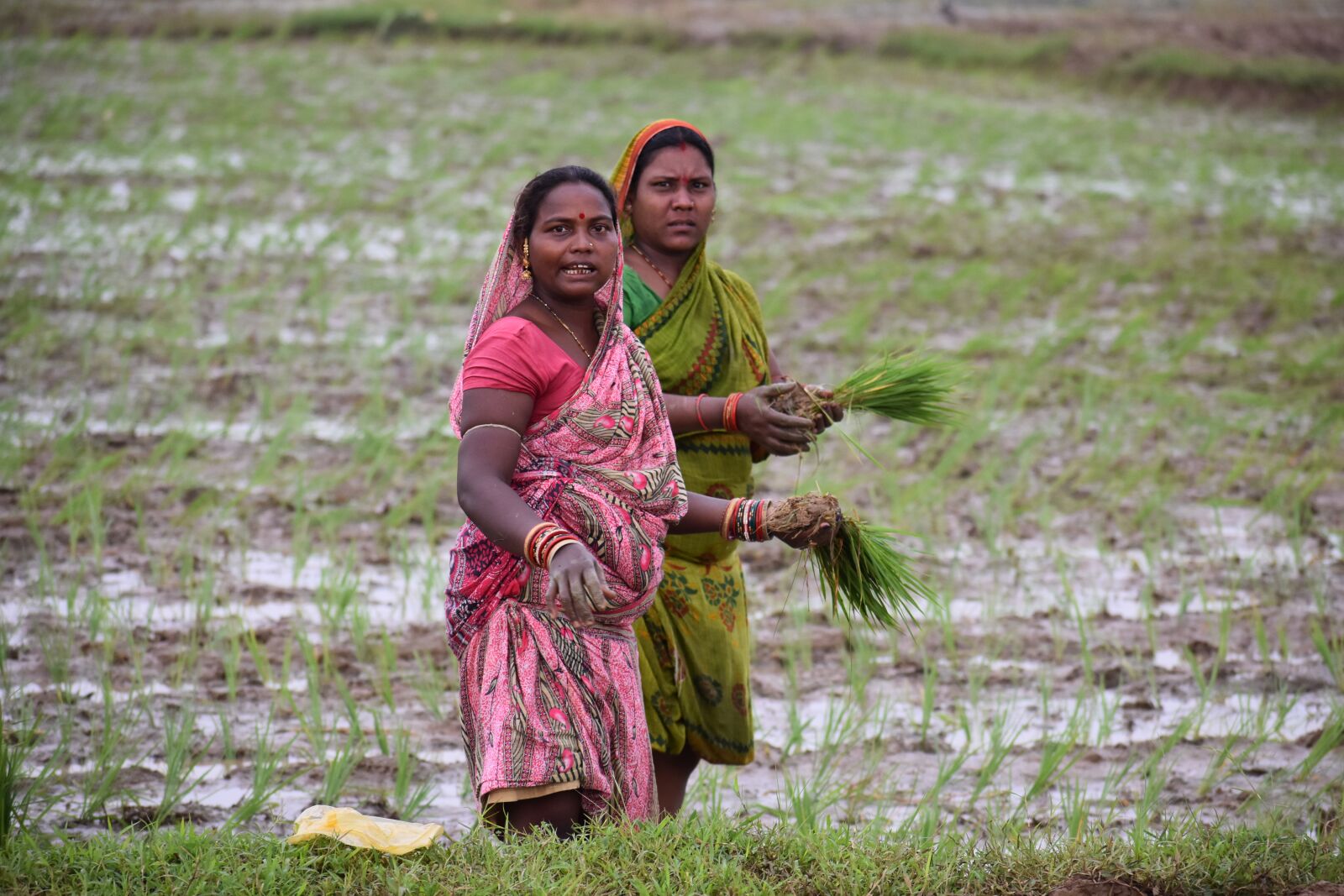 Nikon D3400 sample photo. Two women, sari, rice photography