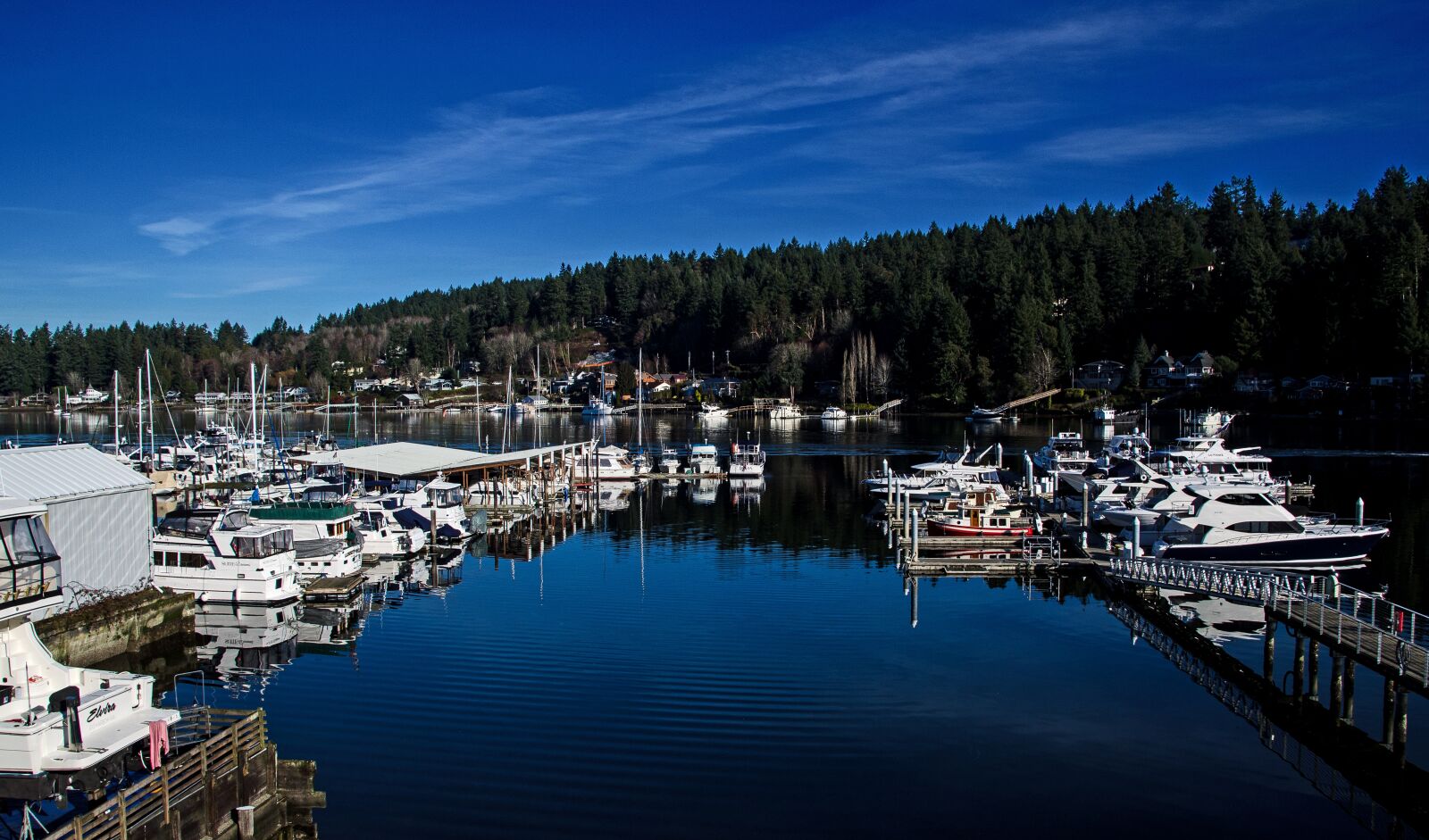 Nikon D5100 sample photo. Gig harbor washington usa photography