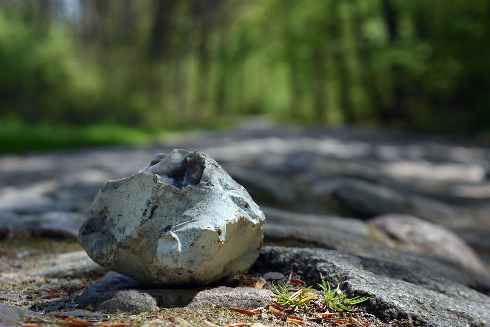 Nikon D3400 sample photo. Way, pavement, the stones photography