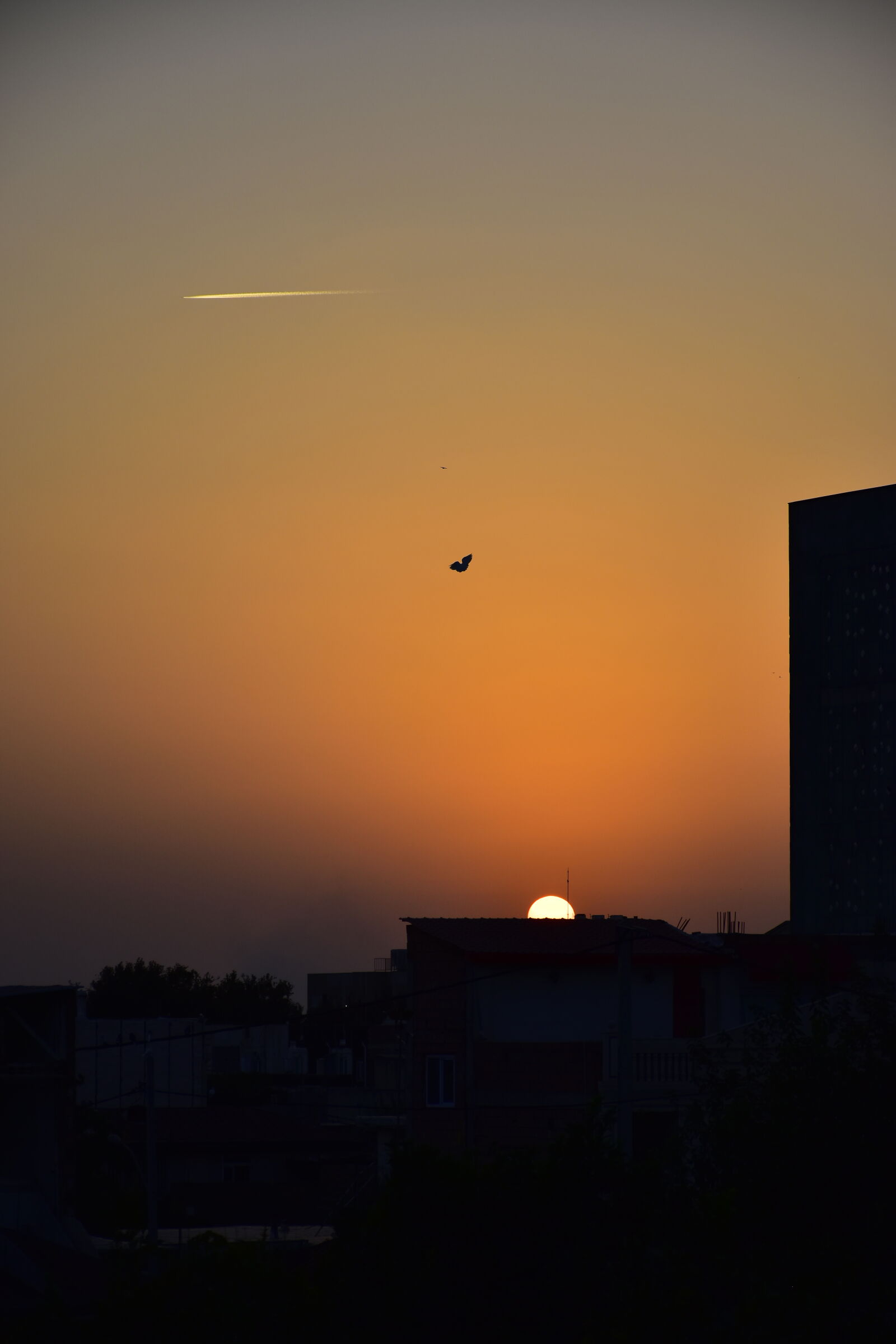 Nikon D5600 sample photo