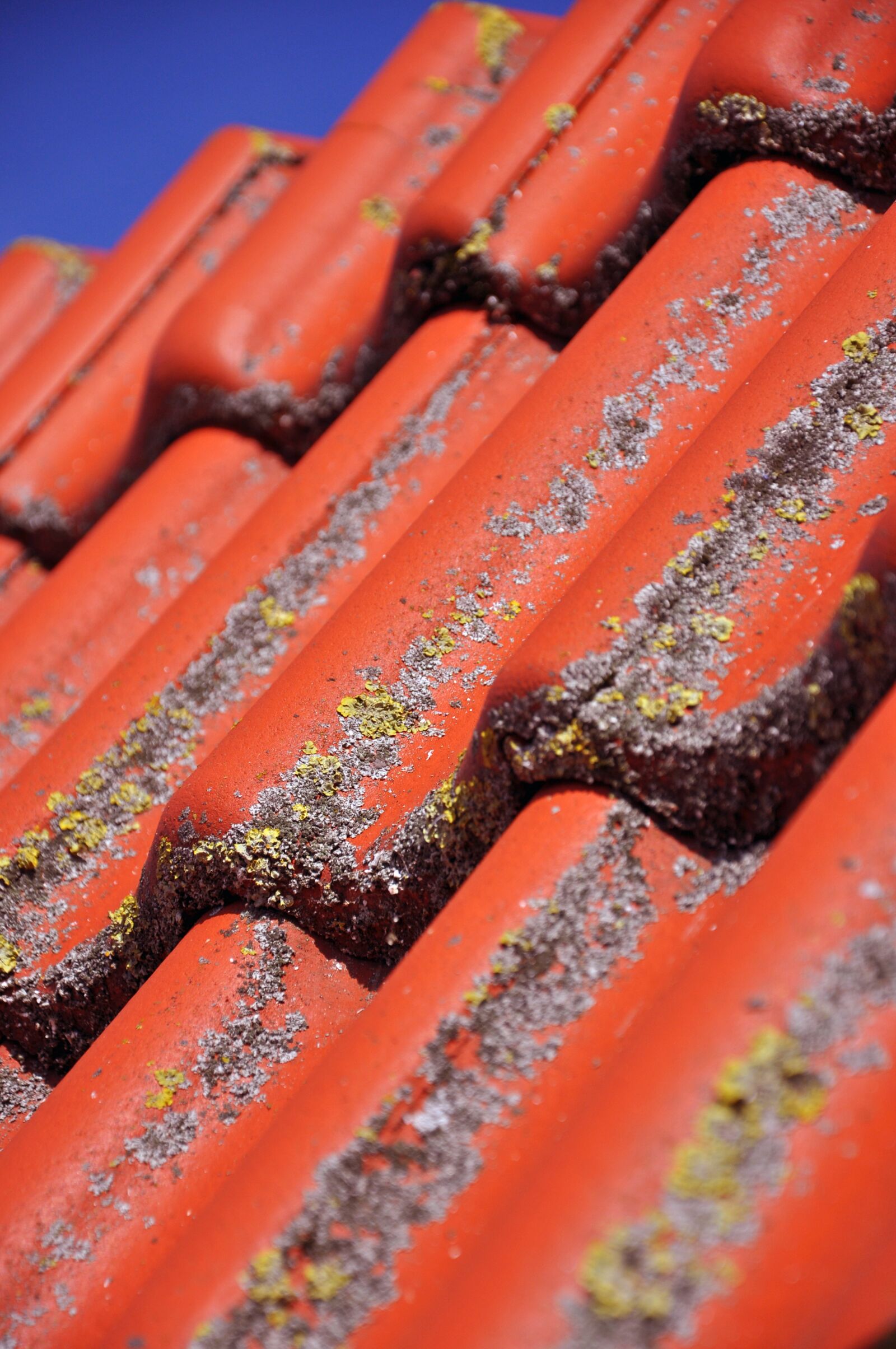 Nikon D90 sample photo. Roof, tile, clay tiles photography