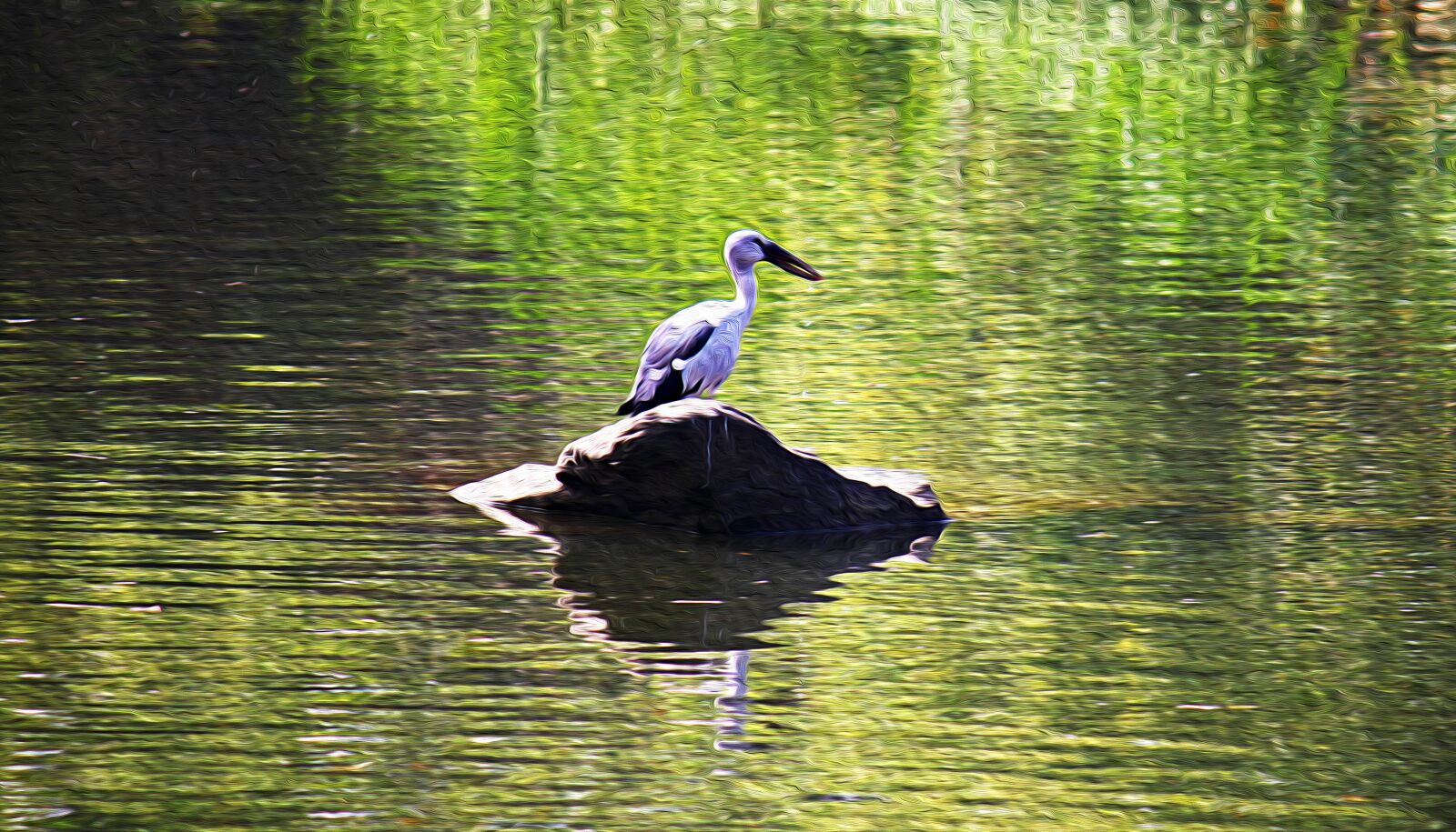 Canon EOS 500D (EOS Rebel T1i / EOS Kiss X3) sample photo. Openbill stork, bird, wild photography