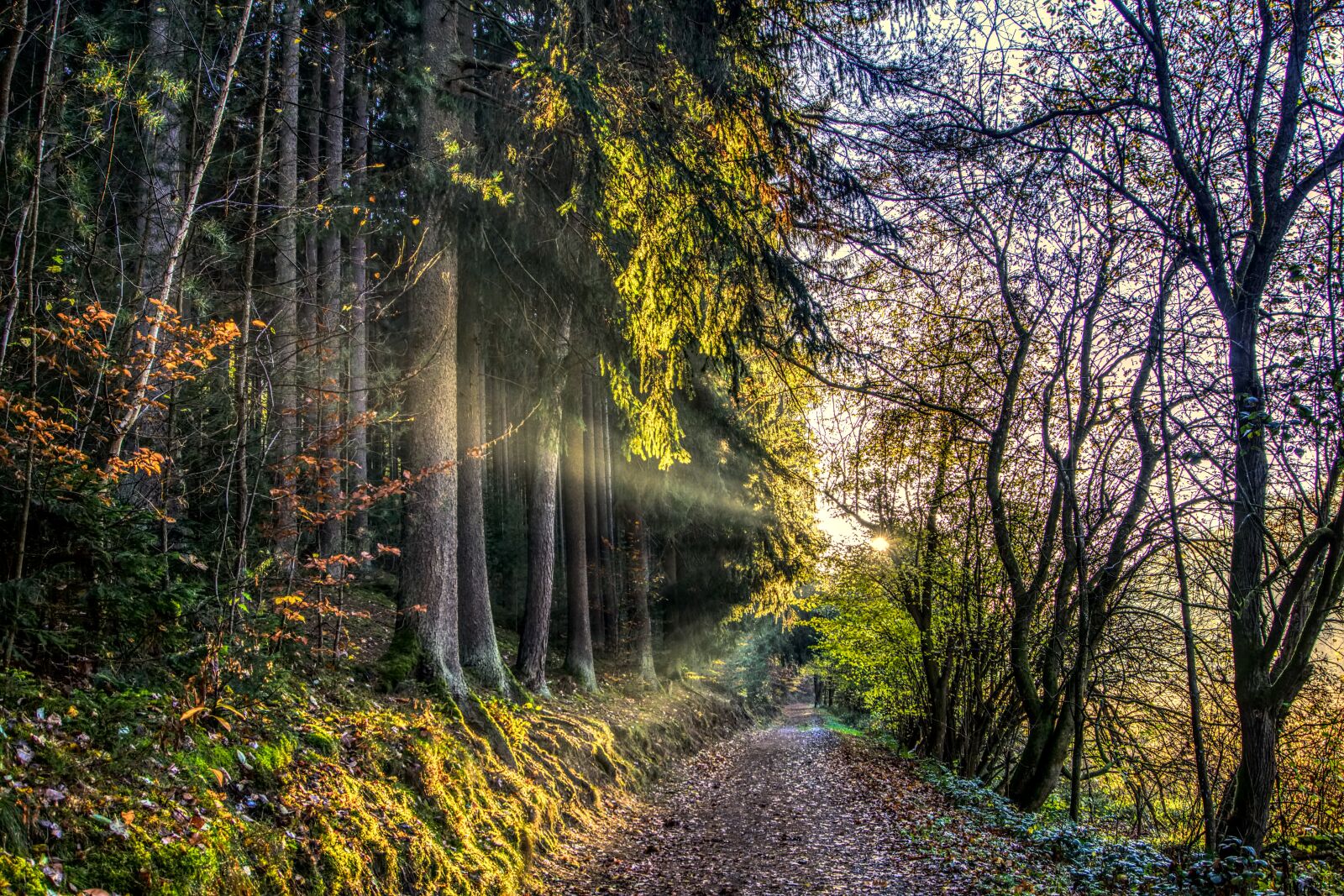 Sony a6000 sample photo. Sun, rays, sunset photography