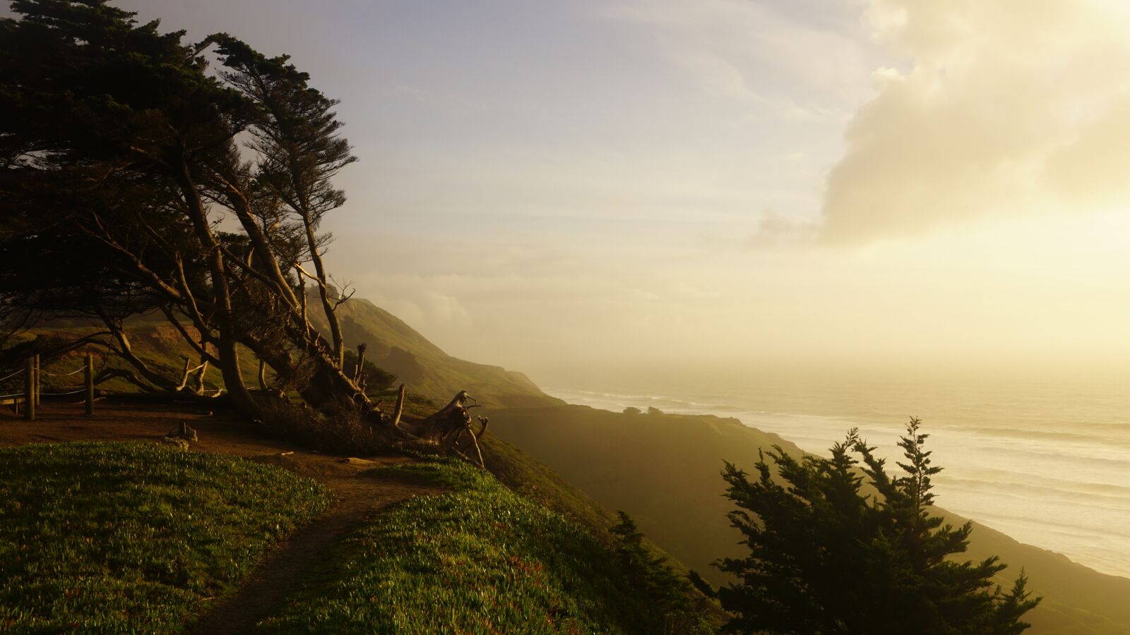 Sony a6000 sample photo. West coast, san francisco photography