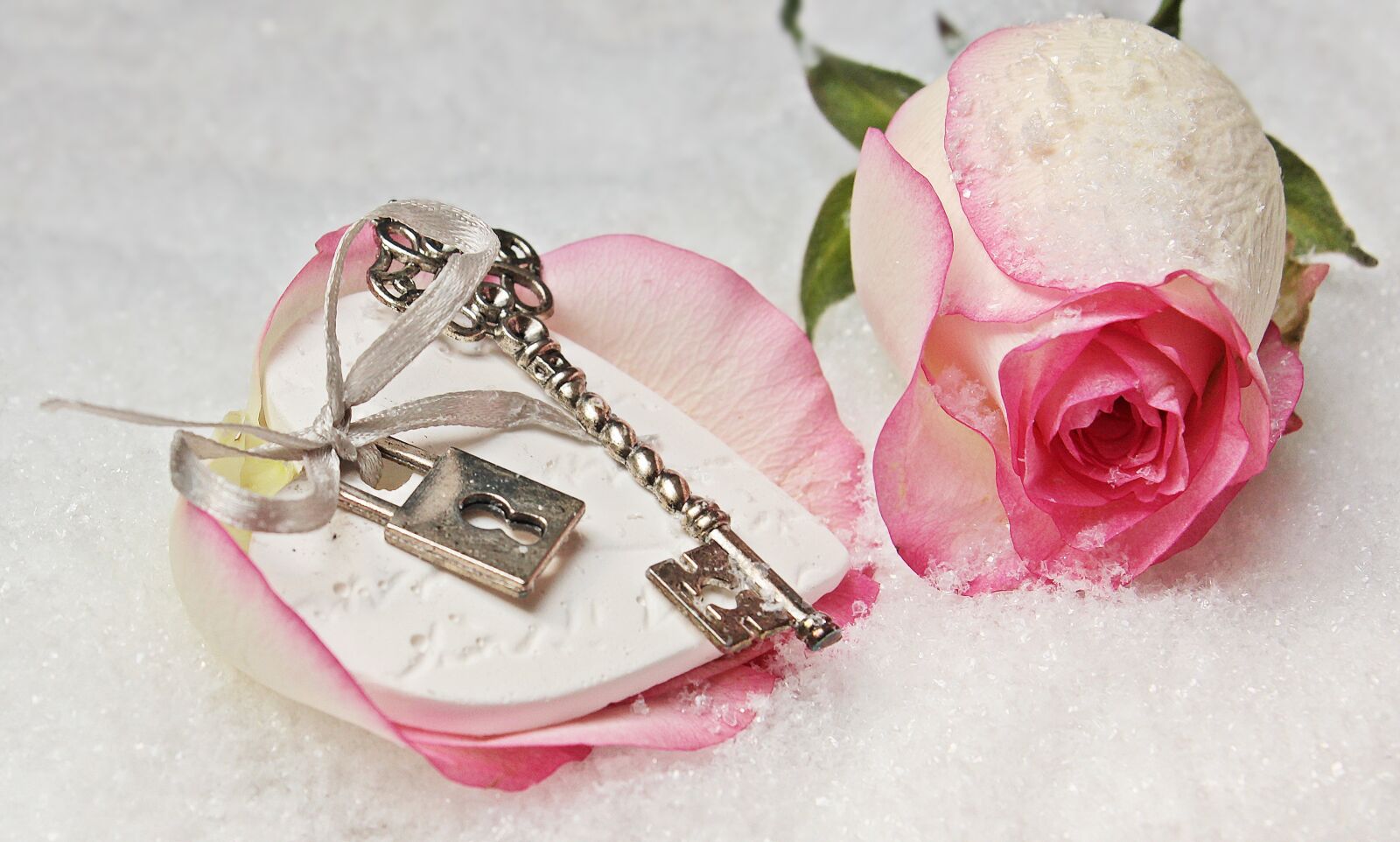 Canon EOS 550D (EOS Rebel T2i / EOS Kiss X4) sample photo. Heart, key, rose photography