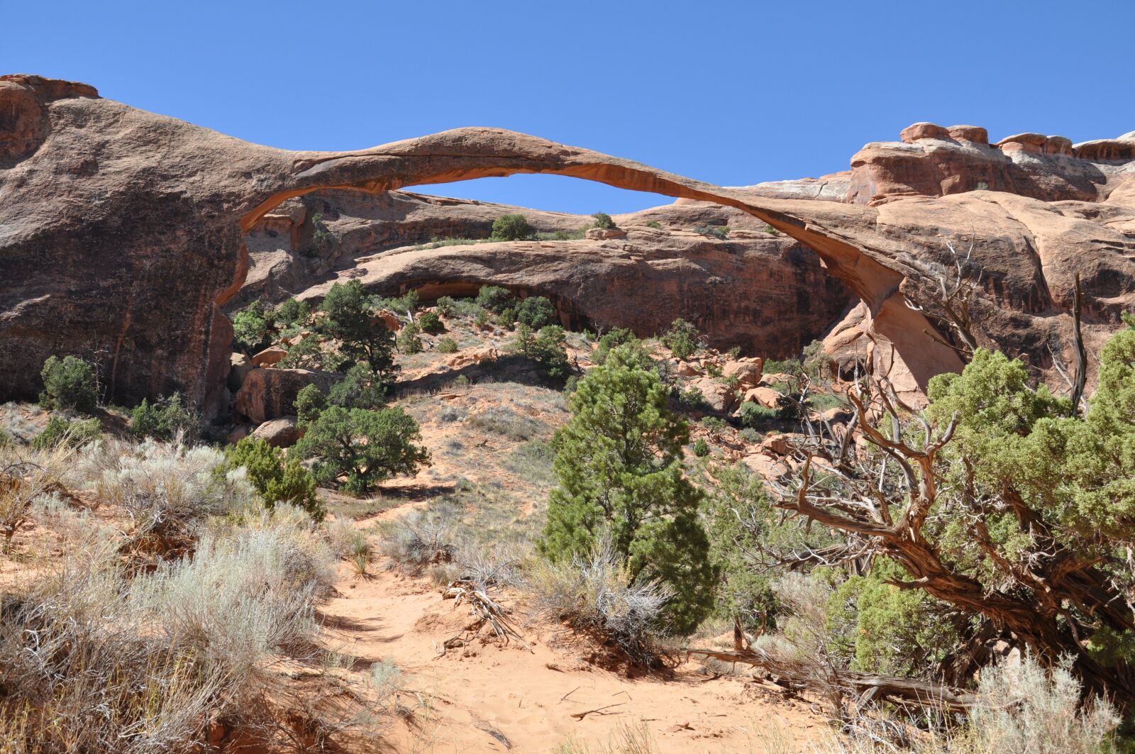 Nikon D90 sample photo. Desert, arizona, canyon photography