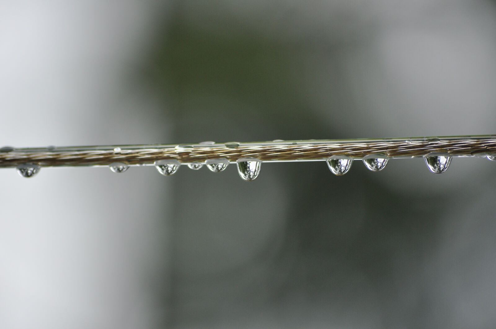 Nikon D90 sample photo. Water, drops, clothes line photography