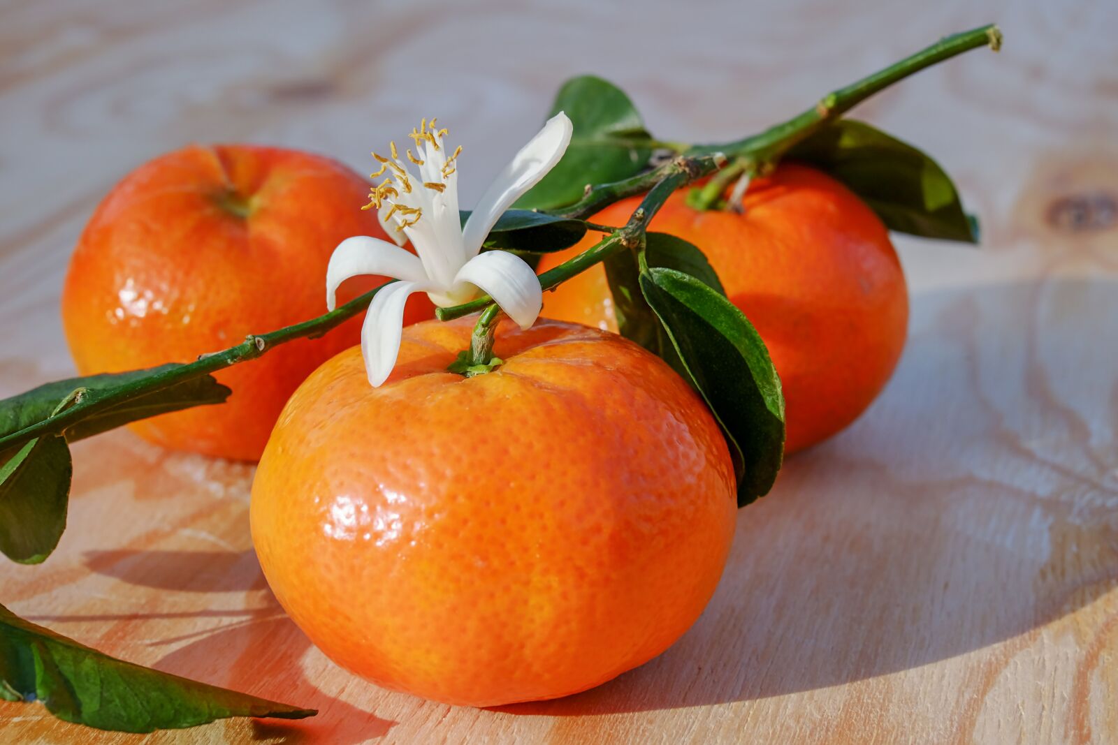 Fujifilm X-T10 + Fujifilm XF 35mm F1.4 R sample photo. Tangerines, clementines, fruit photography