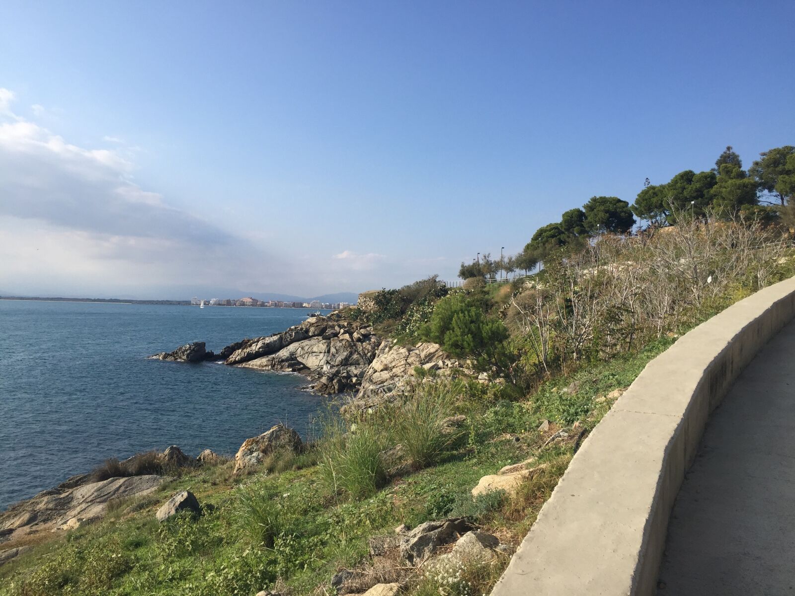 iPhone 6 back camera 4.15mm f/2.2 sample photo
