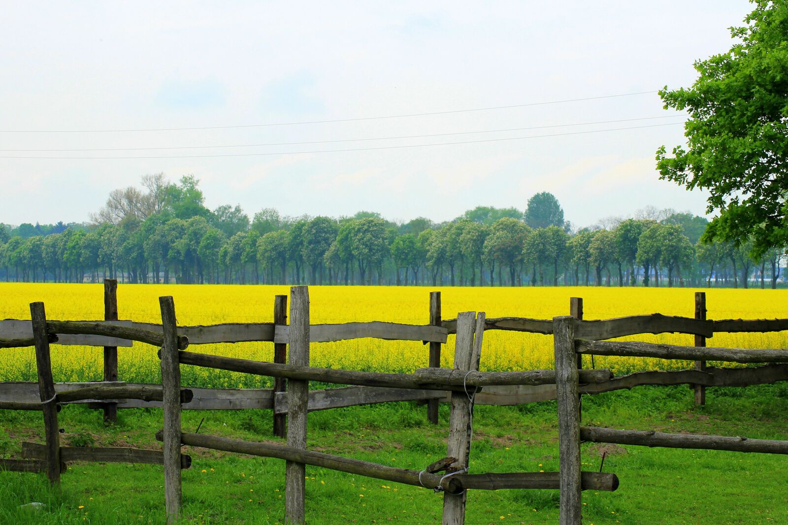 Canon EOS 1200D (EOS Rebel T5 / EOS Kiss X70 / EOS Hi) sample photo. Fencing, the fence, landscape photography