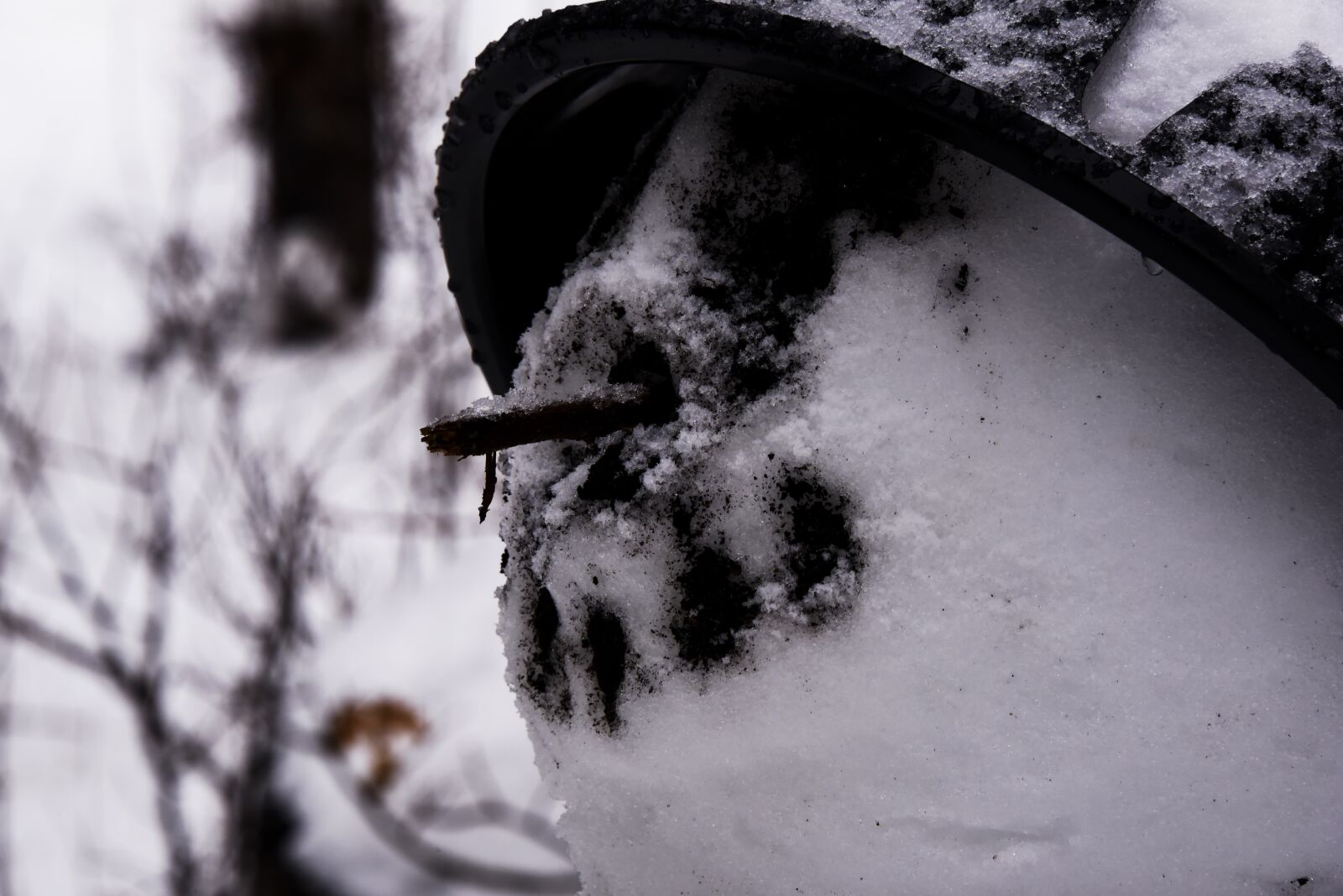Nikon D750 sample photo. Snowman, face, funny photography