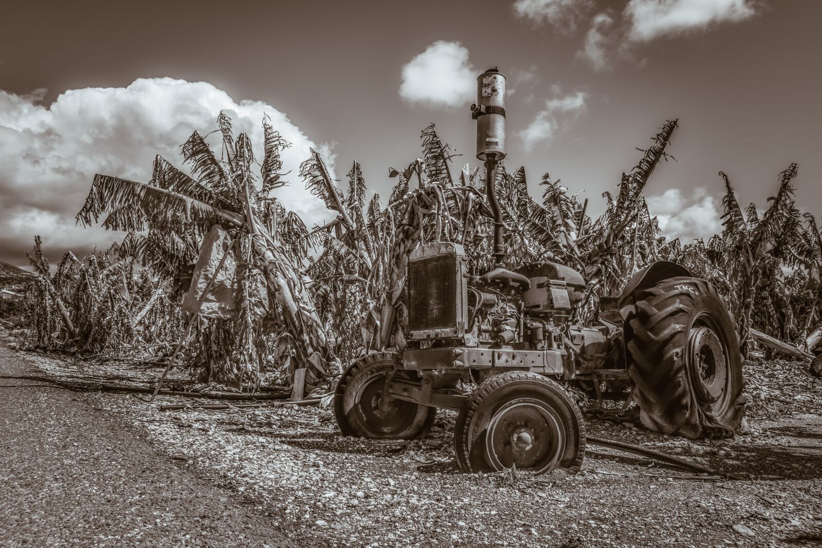 Nikon D3300 sample photo. Tractor, old, oldtimer photography