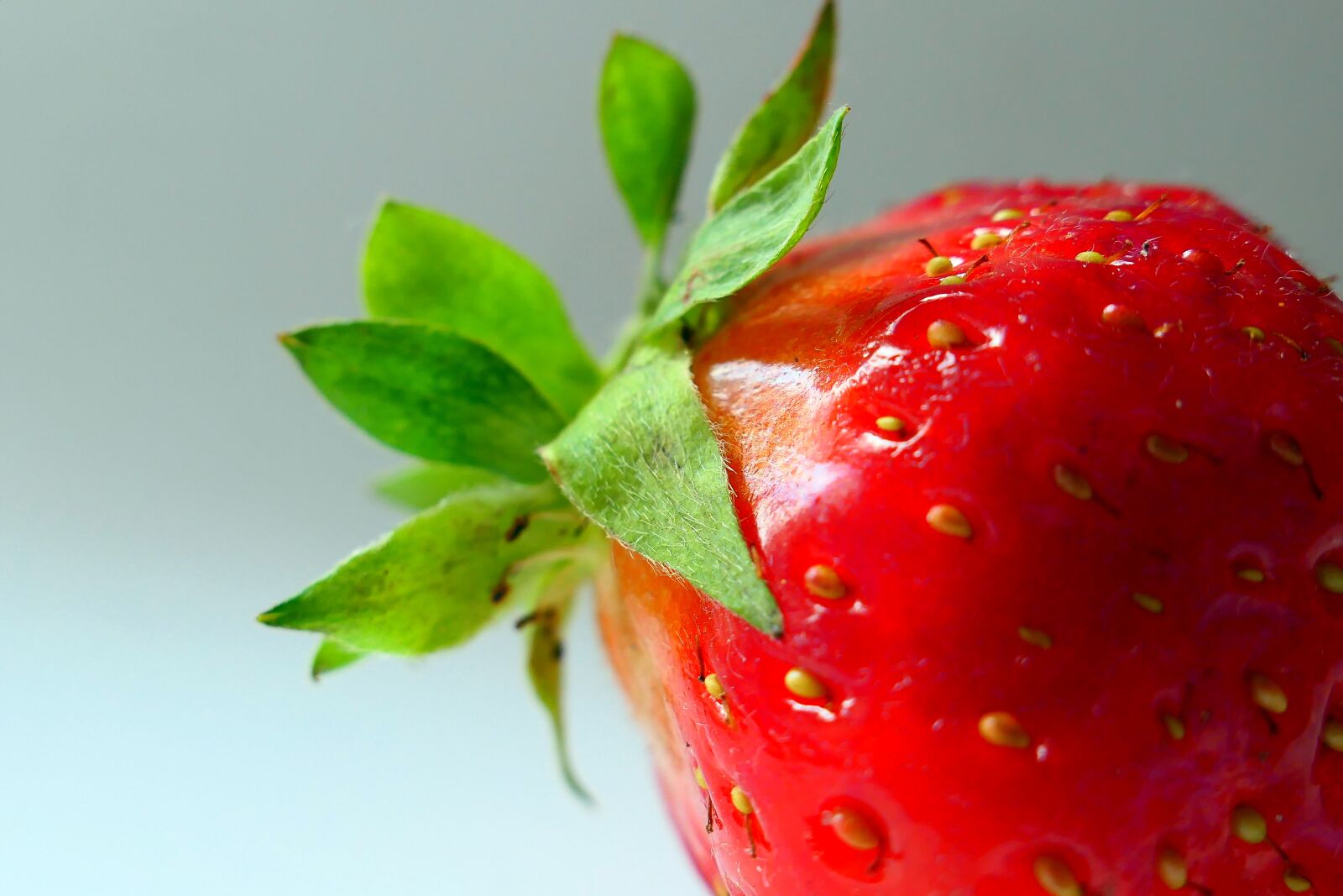 Panasonic Lumix DMC-LX10 (Lumix DMC-LX15) sample photo. Strawberry, fruit, fruits photography