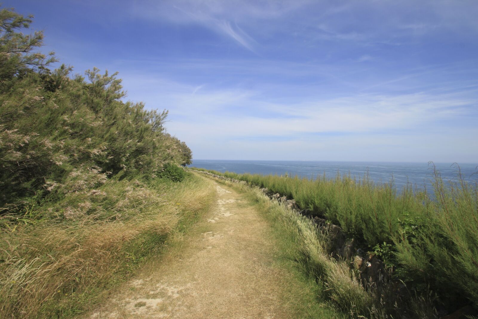 Canon EOS 500D (EOS Rebel T1i / EOS Kiss X3) sample photo. Summer, coast, sea photography