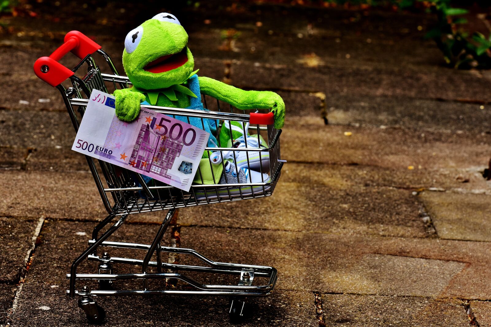 Nikon D7200 sample photo. Kermit, shopping cart, shopping photography