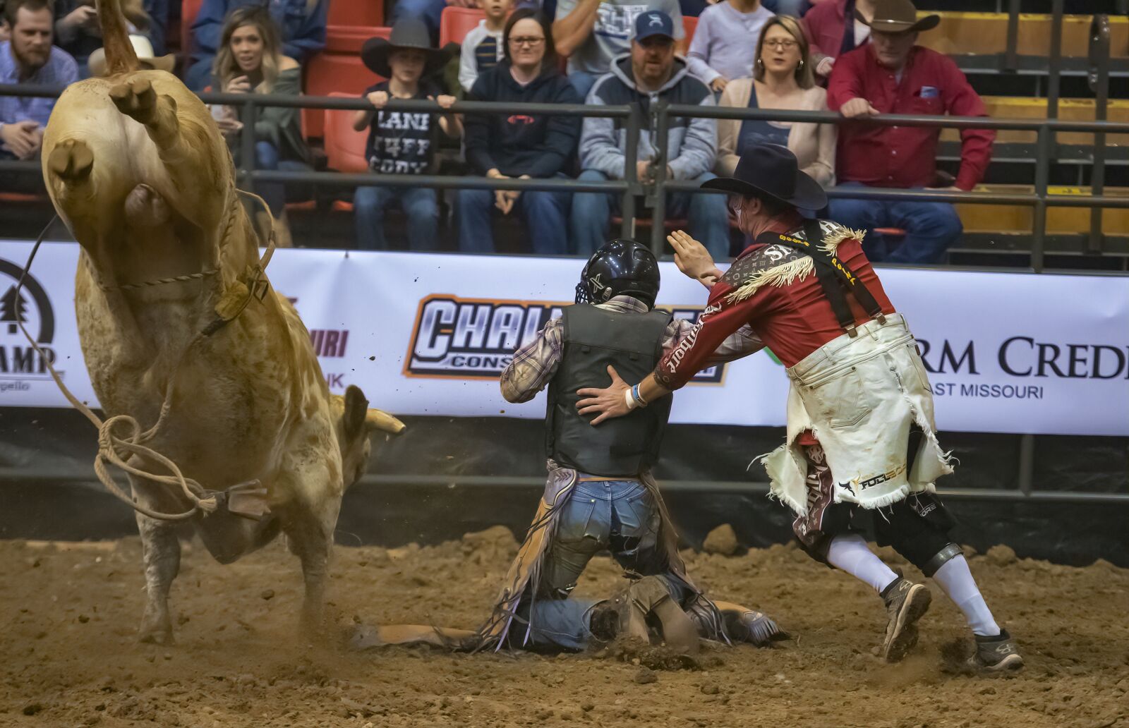 Nikon D850 sample photo. Bull, bull rider, bull photography