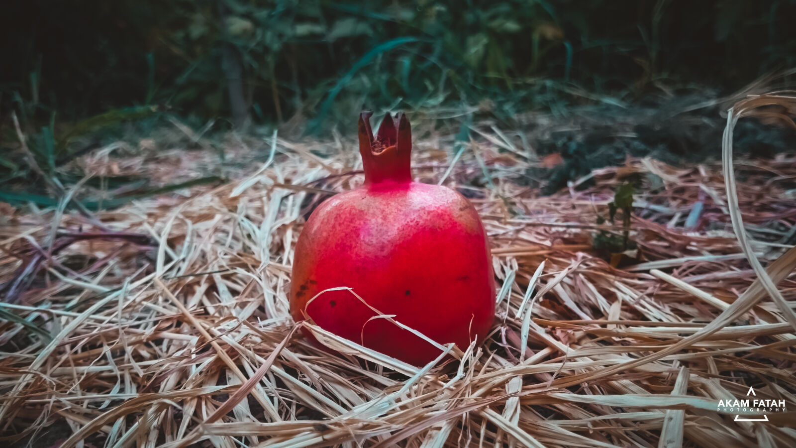 Sony Xperia Z2 sample photo. Fall, food, fruit, fruits photography