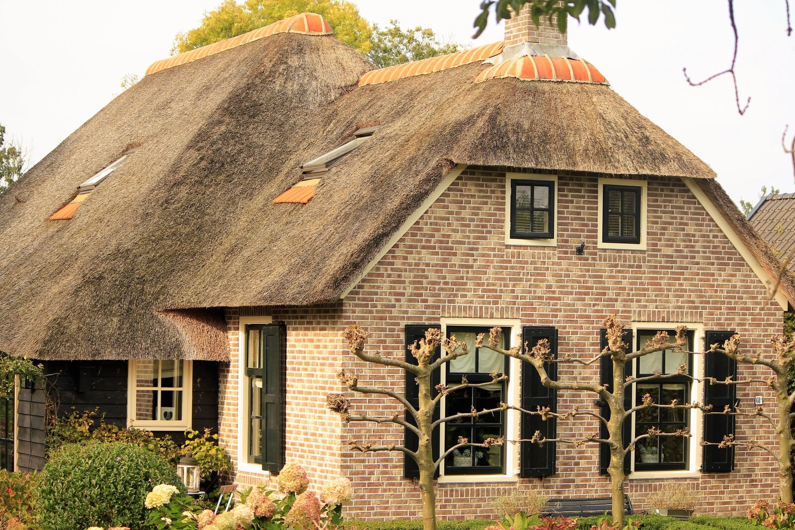 Canon EOS 550D (EOS Rebel T2i / EOS Kiss X4) sample photo. Reed roof, east frisia photography