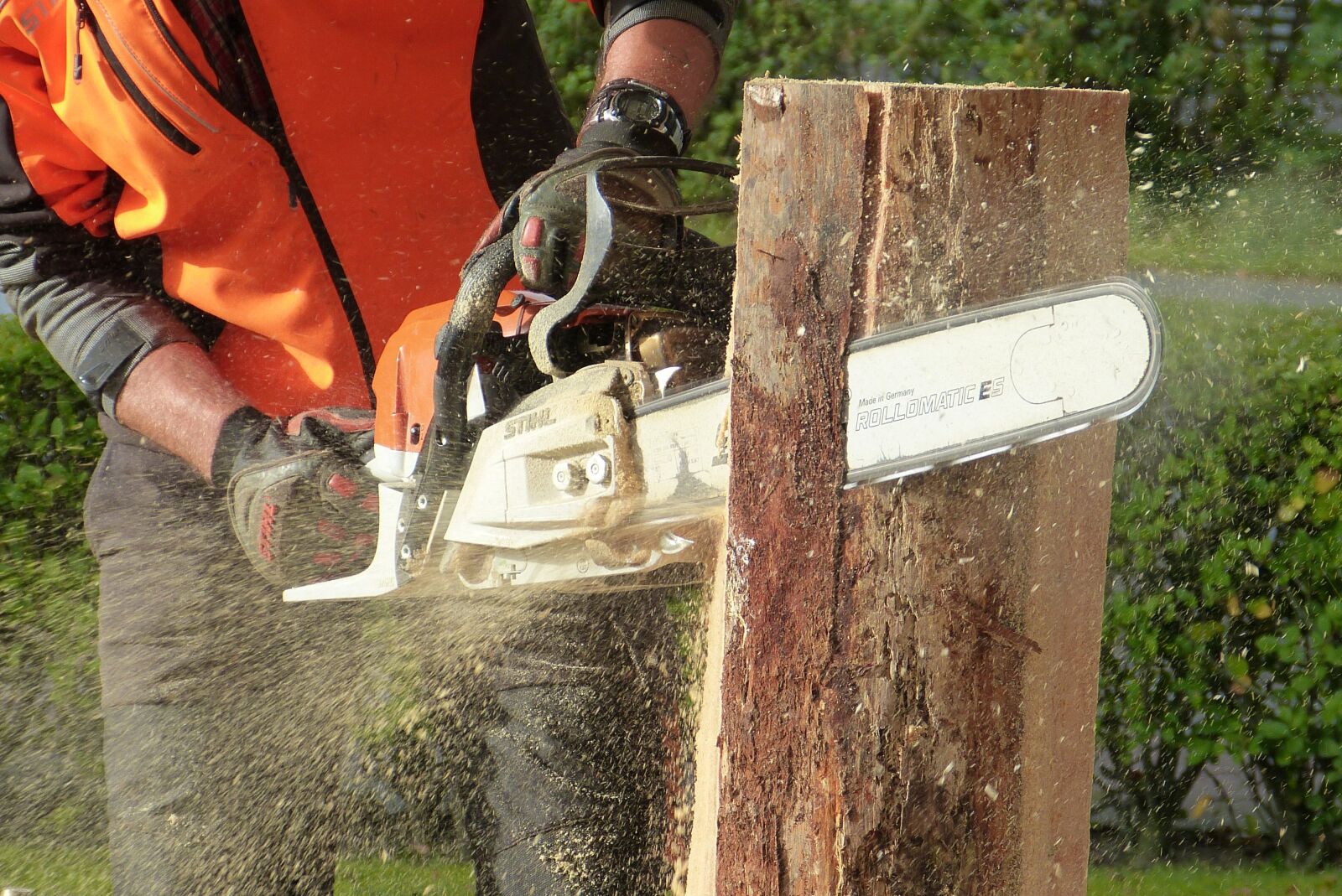 Panasonic Lumix DMC-FZ150 sample photo. Wood, chainsaw, tree photography