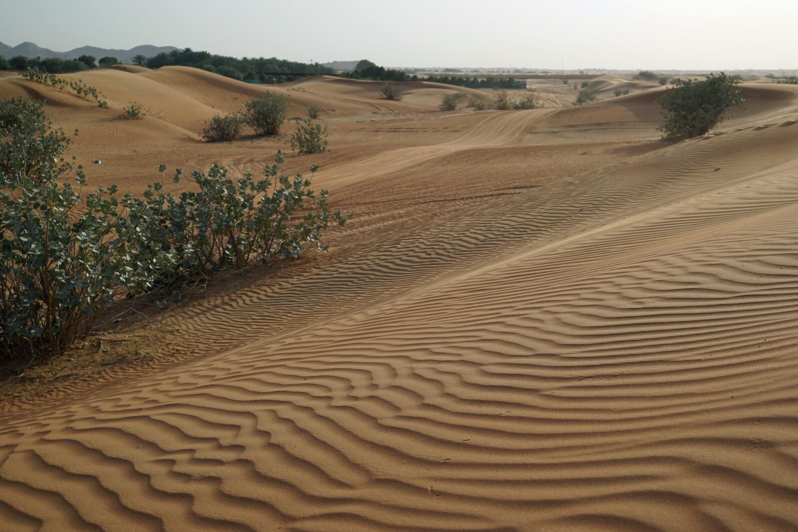 Sony a99 II sample photo. Desert, travel, sand photography