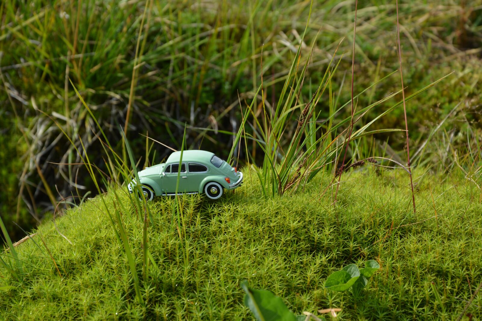 Nikon D5200 sample photo. Auto, model, volkswagen photography