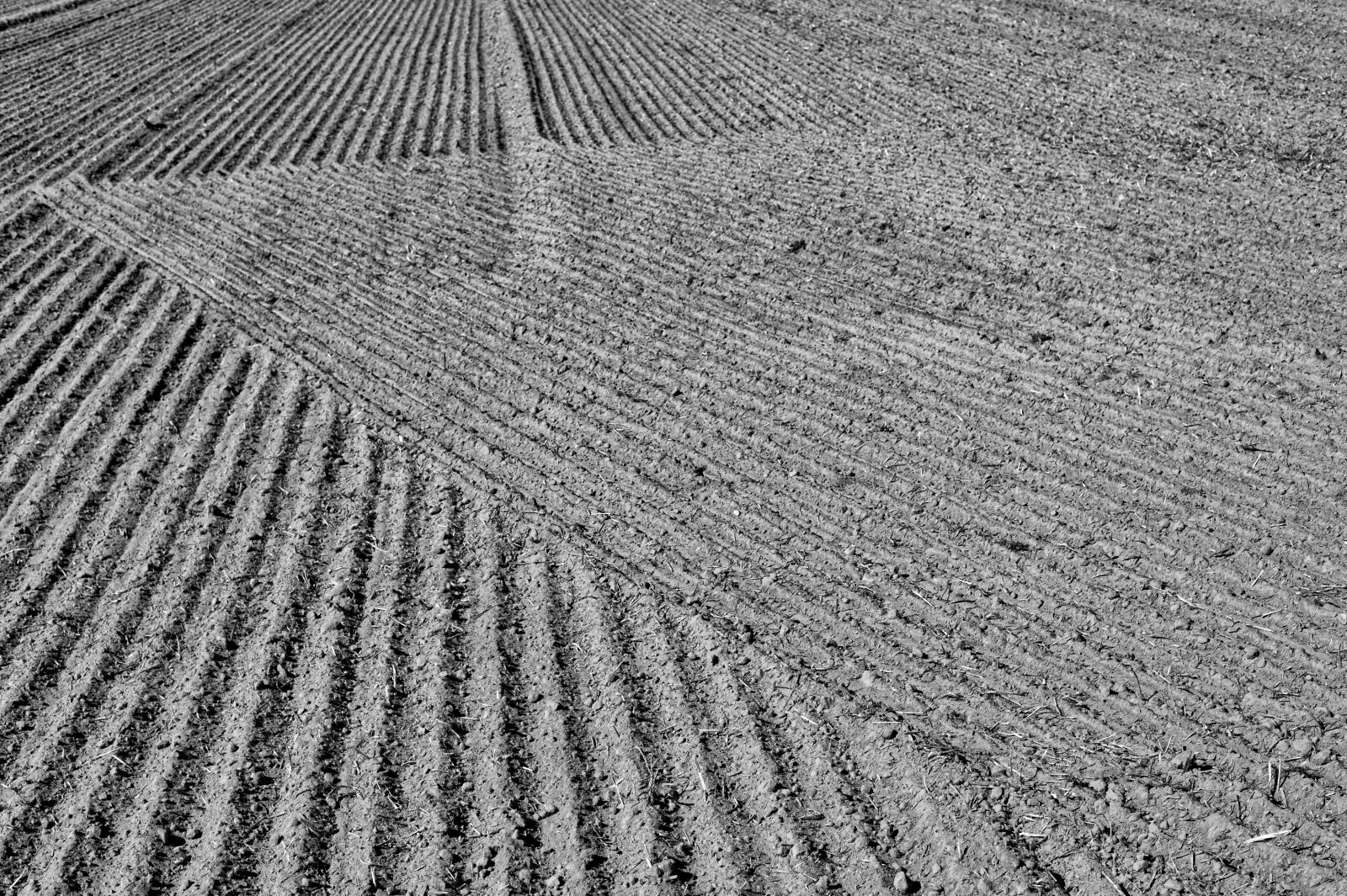 Nikon Df sample photo. Field, earth, agriculture photography