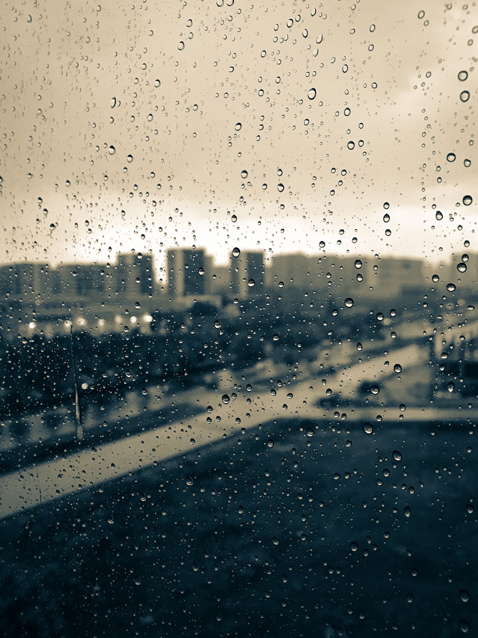 iPhone 7 Plus back dual camera 3.99mm f/1.8 sample photo. Ankara, rain, nature photography