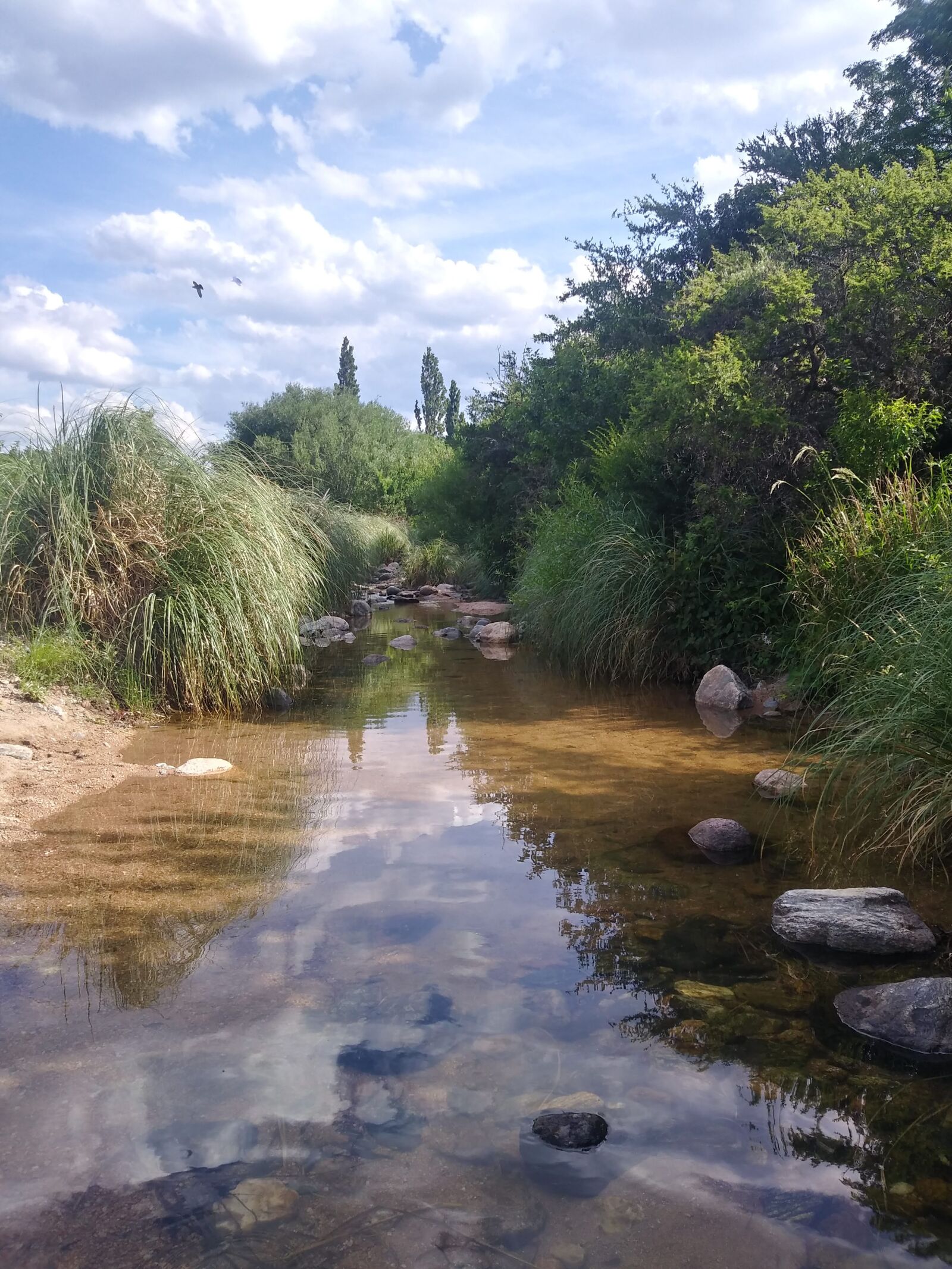 LG Q6 sample photo. Nature, river, landscape photography