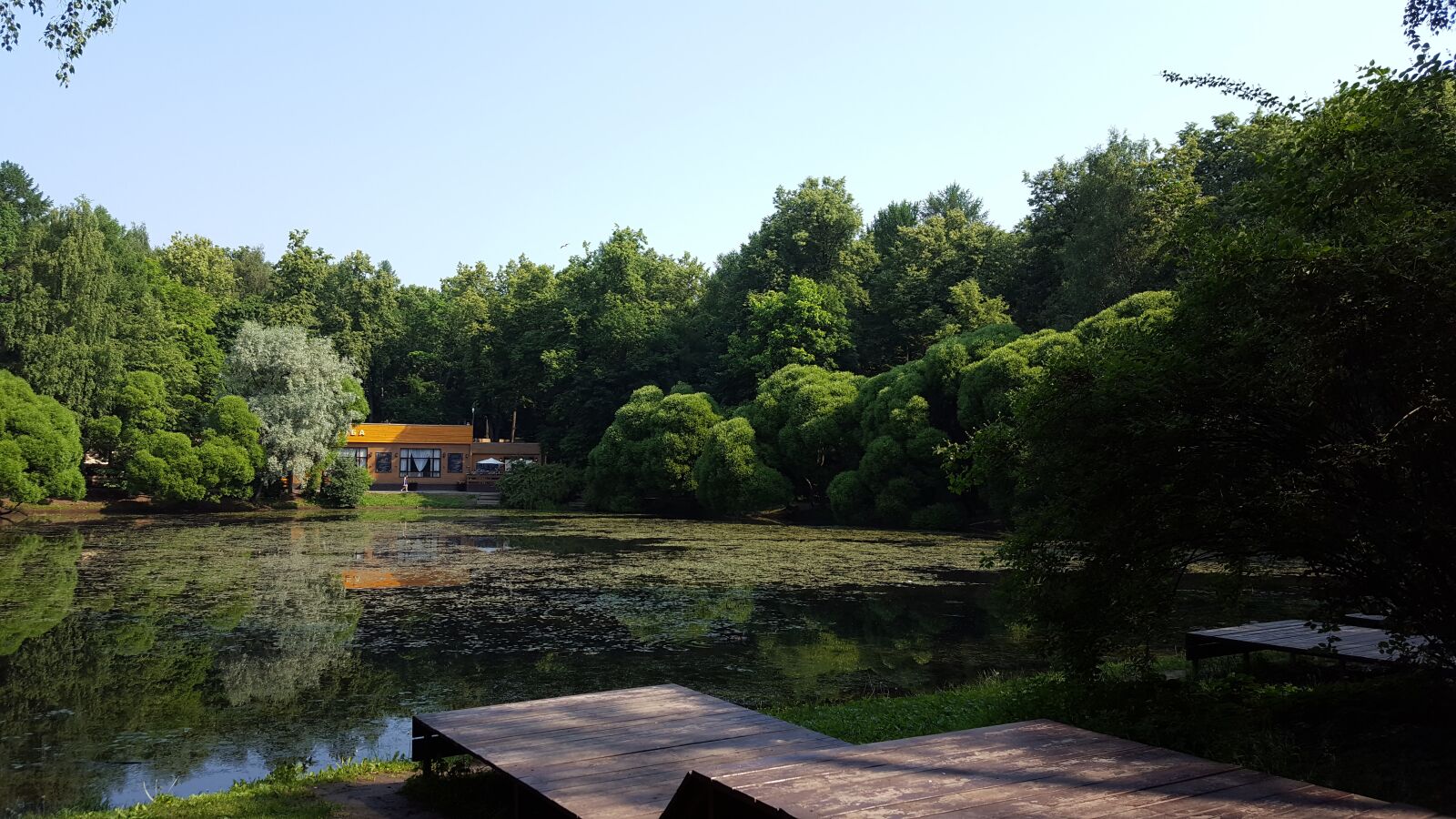 Samsung GALAXY S6 edge sample photo. Willow, pond, lake photography
