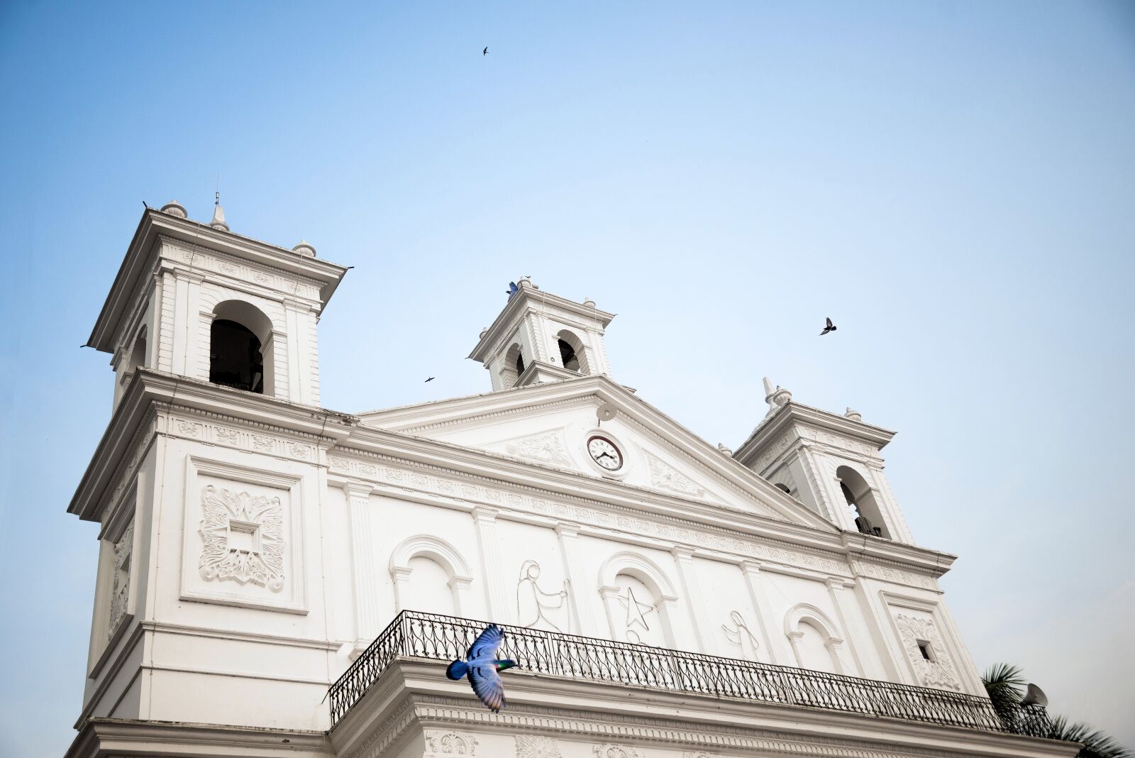 Nikon D610 sample photo. Church, birds, architecture photography