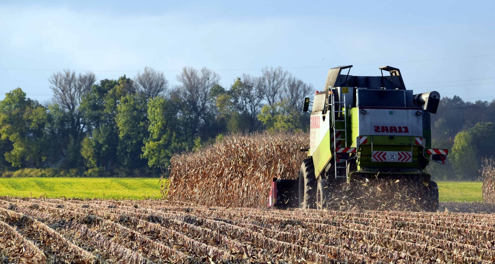 Nikon D3300 sample photo. Landscape, agriculture, soil, agriculture photography