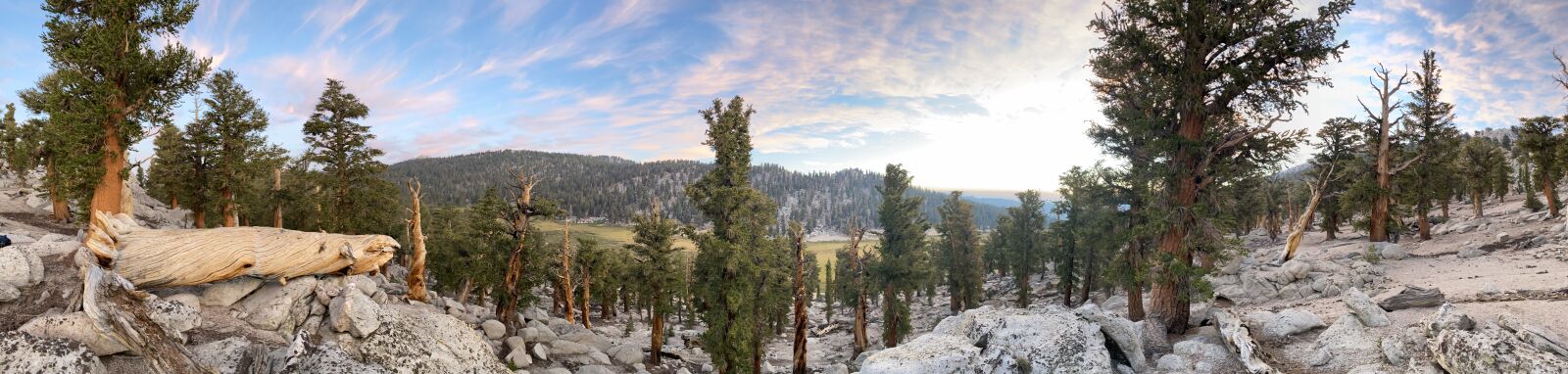 Apple iPhone 11 Pro + iPhone 11 Pro back camera 4.25mm f/1.8 sample photo. Nature, sunrise, panoramic photography
