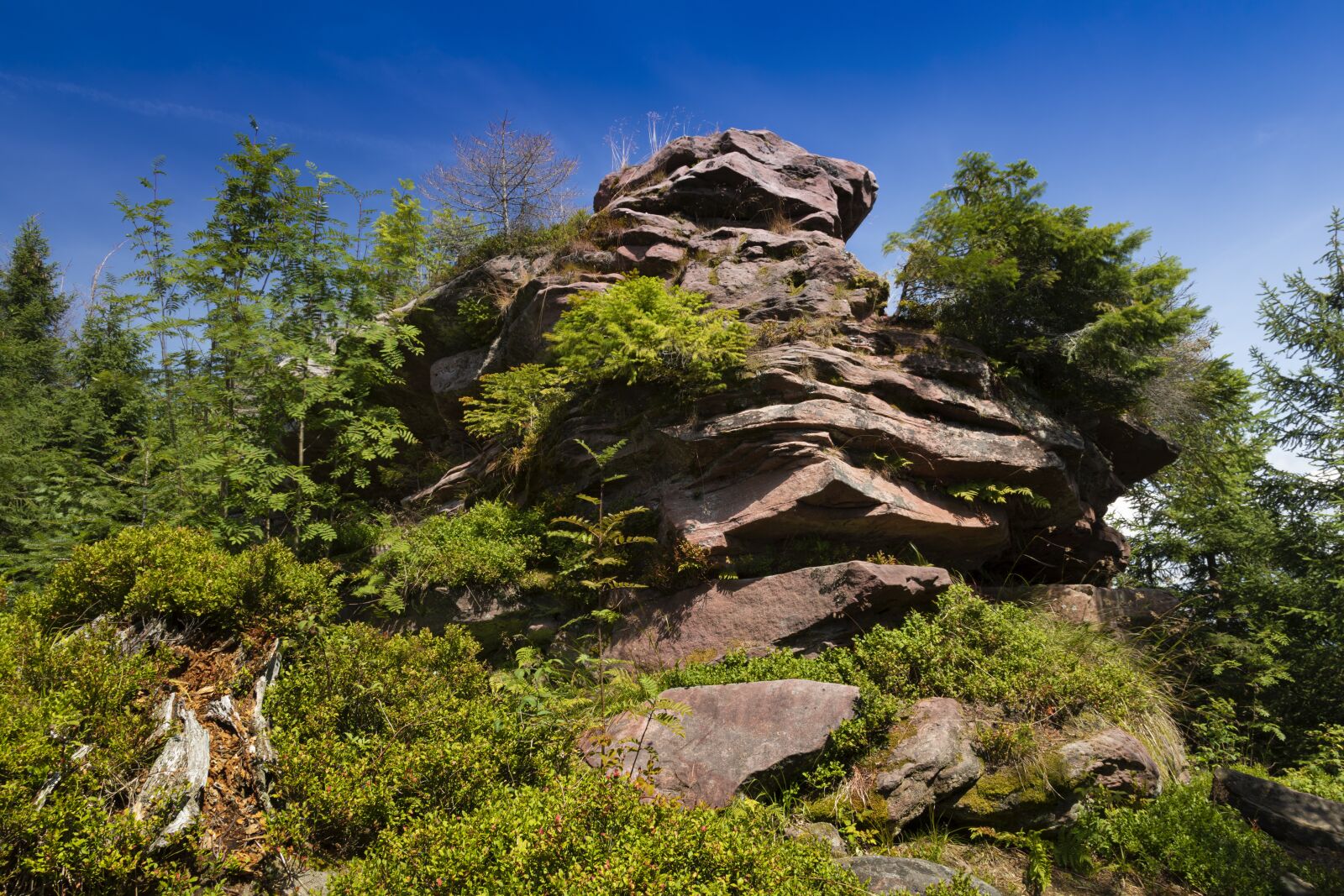 Canon EOS 5D Mark IV sample photo. Klagstein, westweg, schwarzwald photography