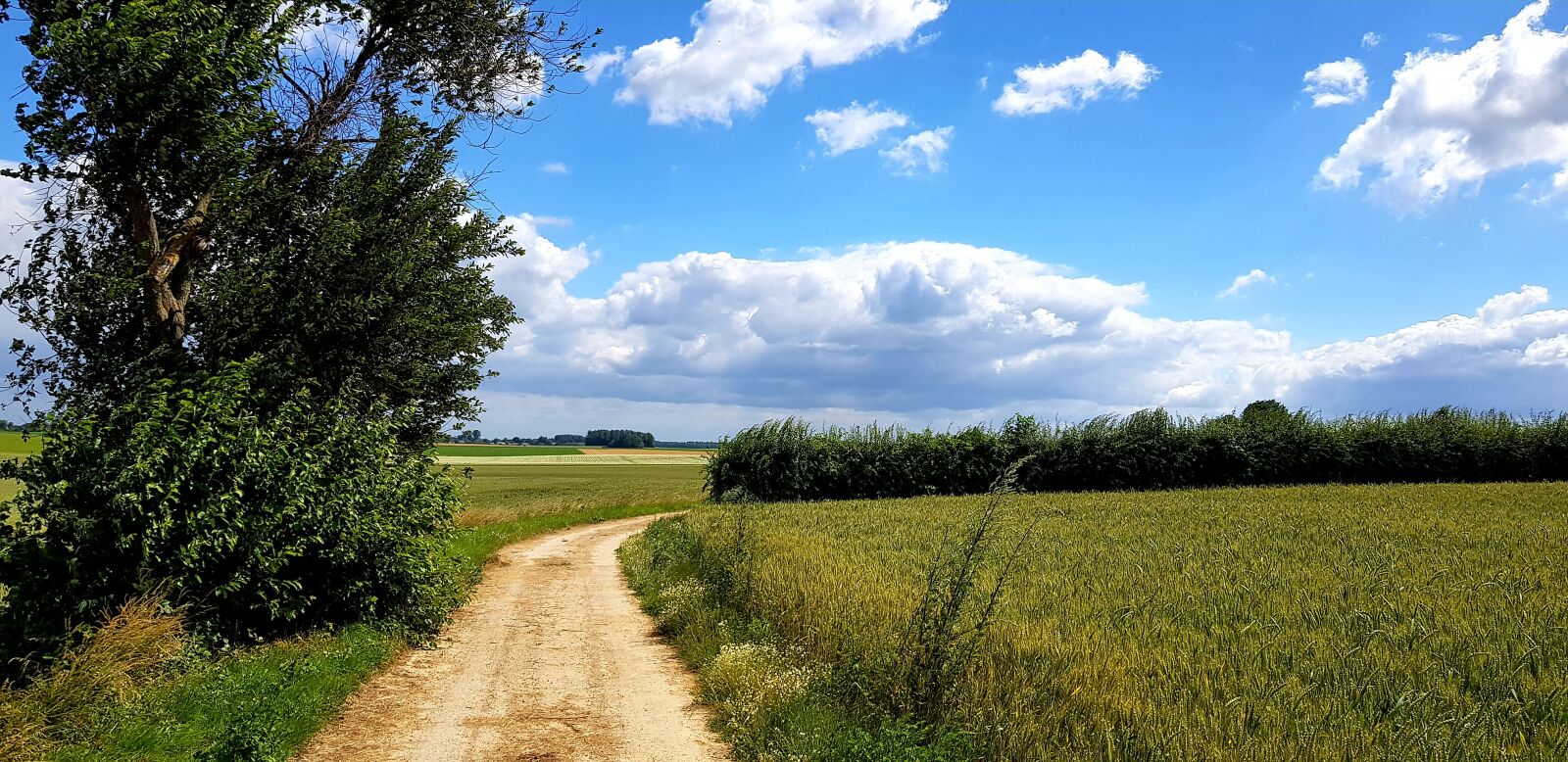 Samsung Galaxy S8 sample photo. Countryside, clouds, belgium photography