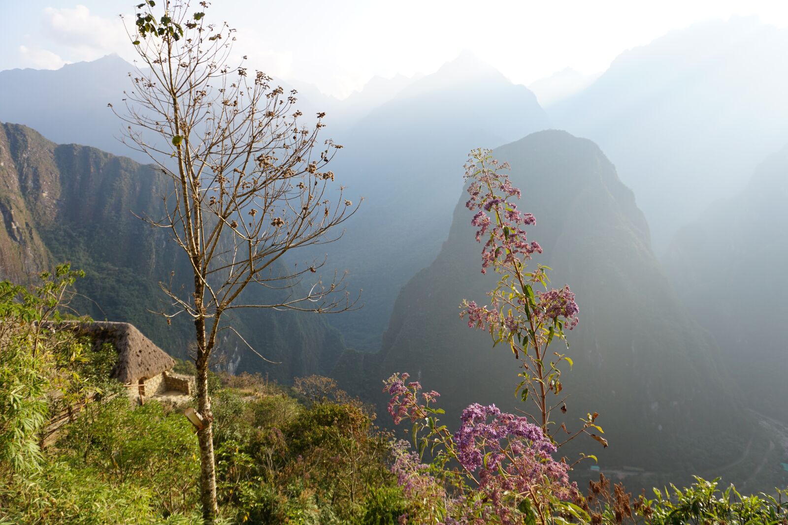 Sony a6300 sample photo. Peru, machupichu, andes photography