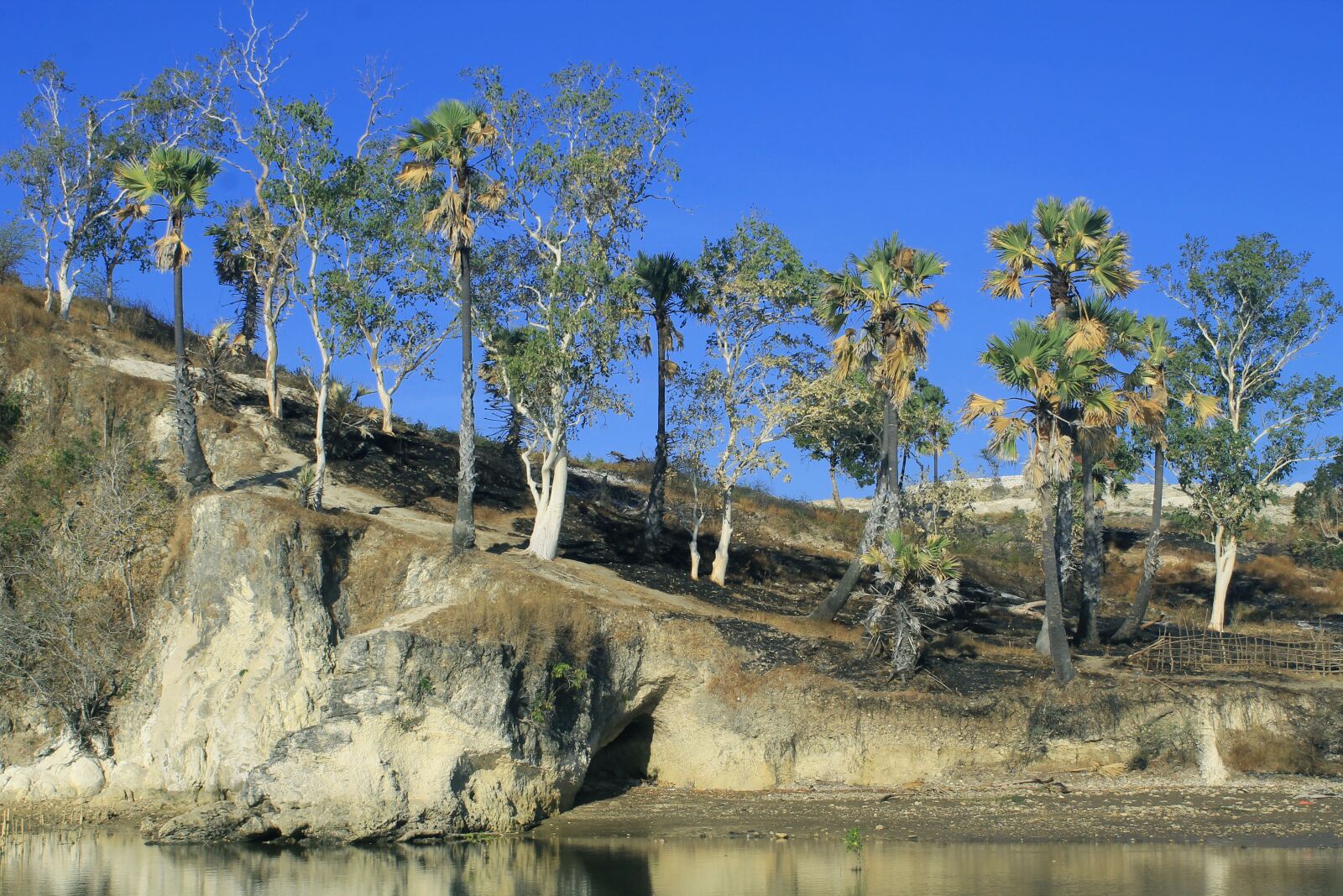 Canon EOS 1100D (EOS Rebel T3 / EOS Kiss X50) sample photo. Indonesian, ntt, kupang photography