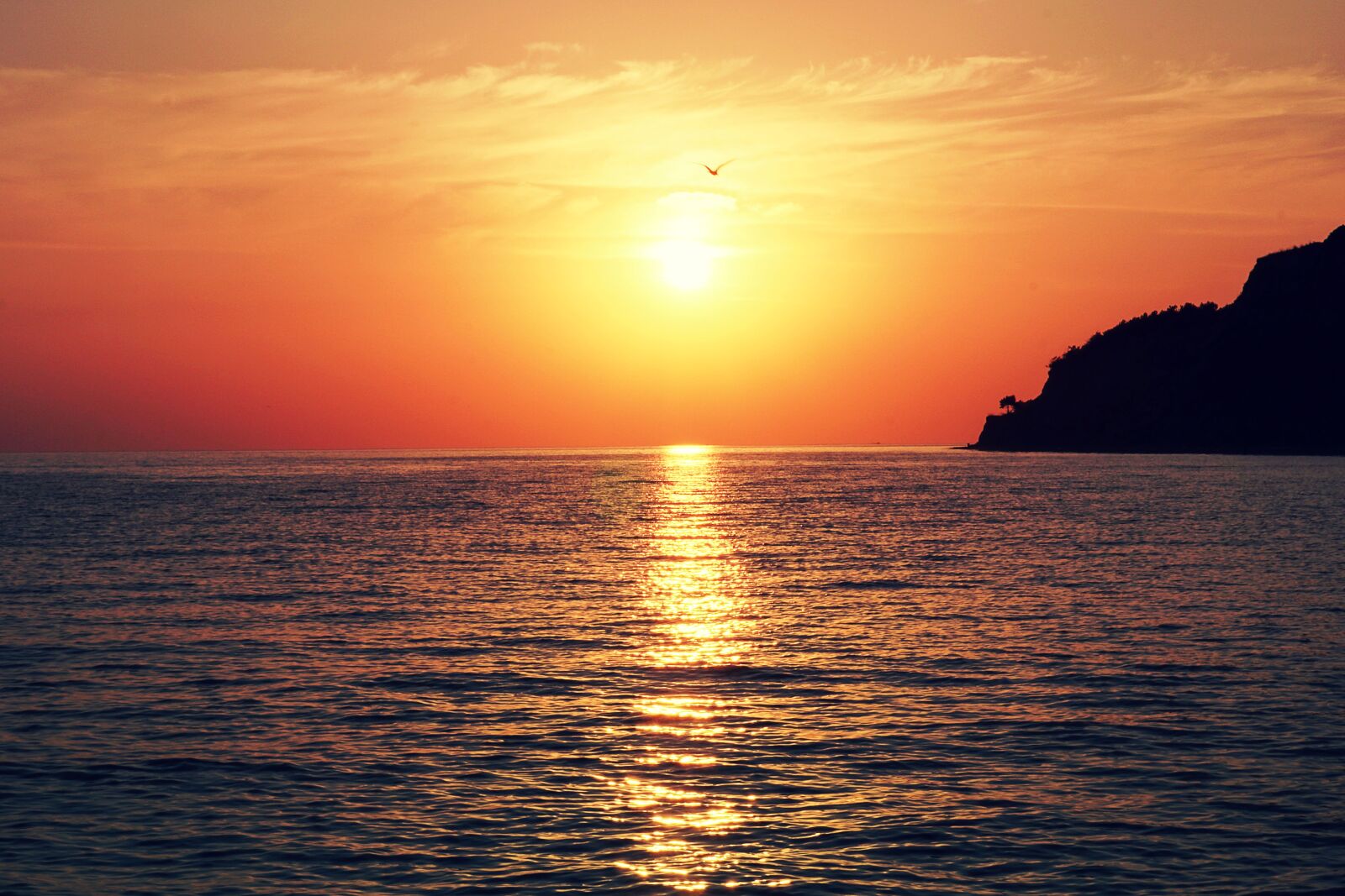 Sony a5100 sample photo. Sunset, dawn, dusk photography