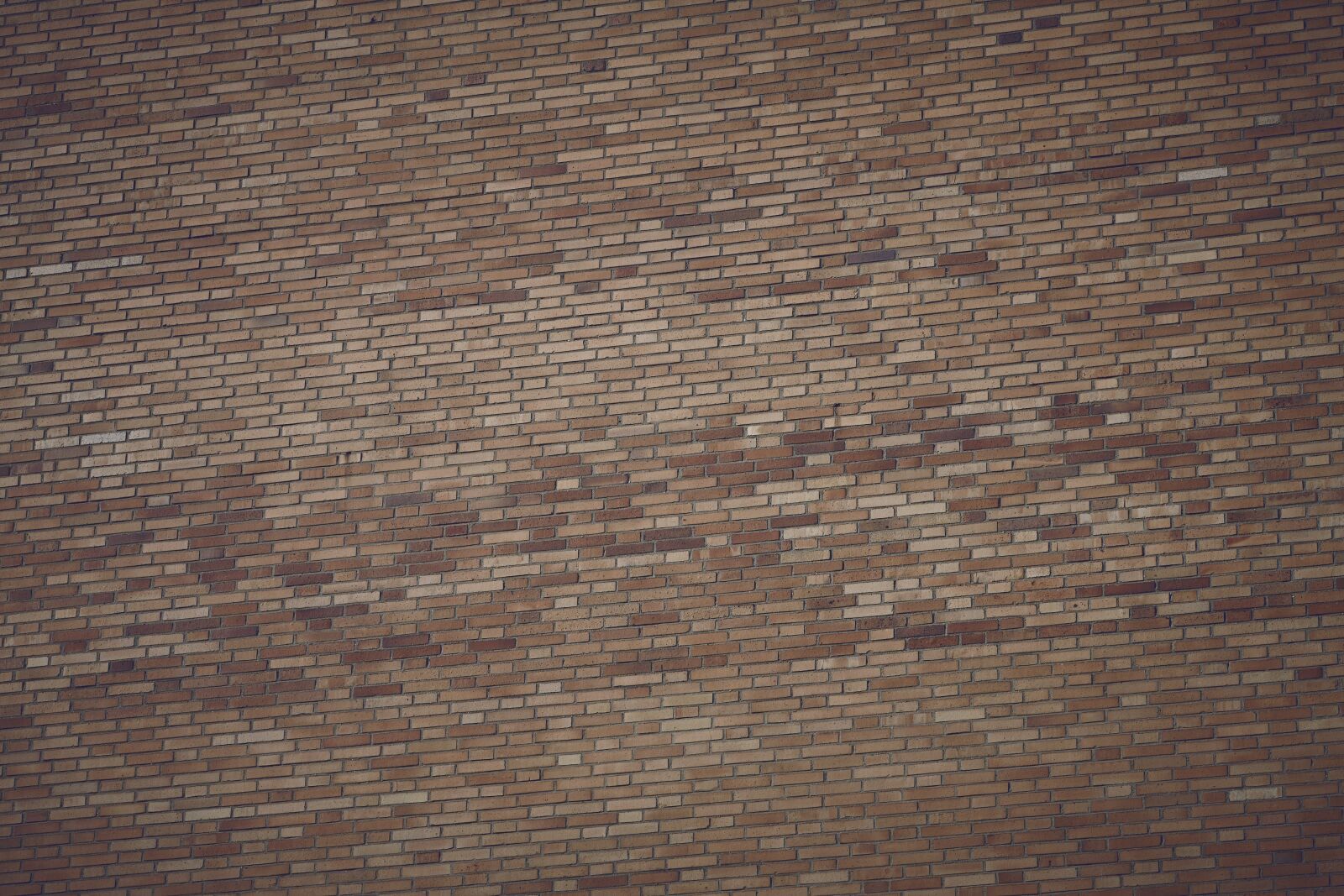 Canon EOS-1Ds Mark III sample photo. Brick, wall, background photography