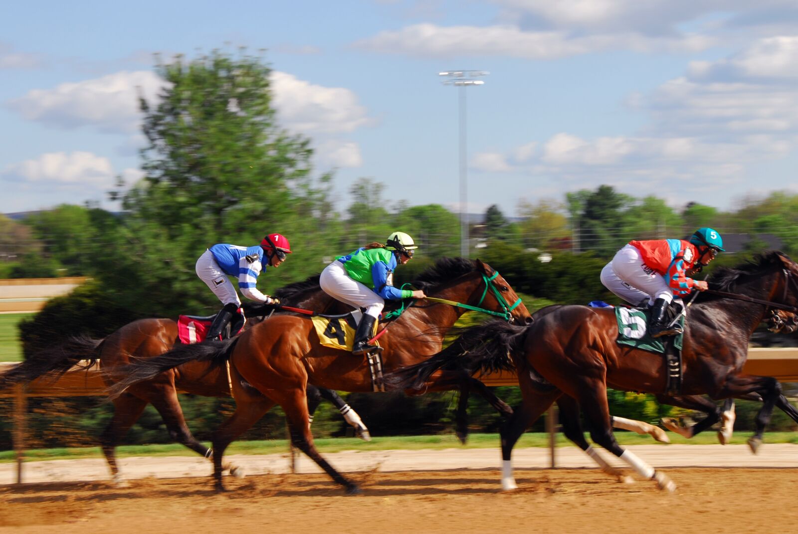 Nikon D200 sample photo. Horse racing, race, racehorse photography
