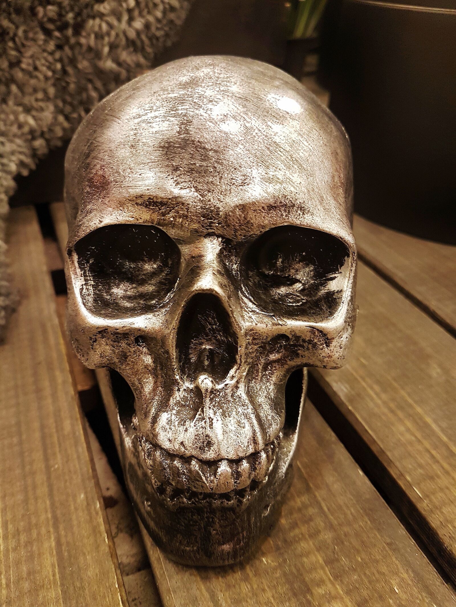 Samsung Galaxy S7 Edge sample photo. Skull, frame, face photography