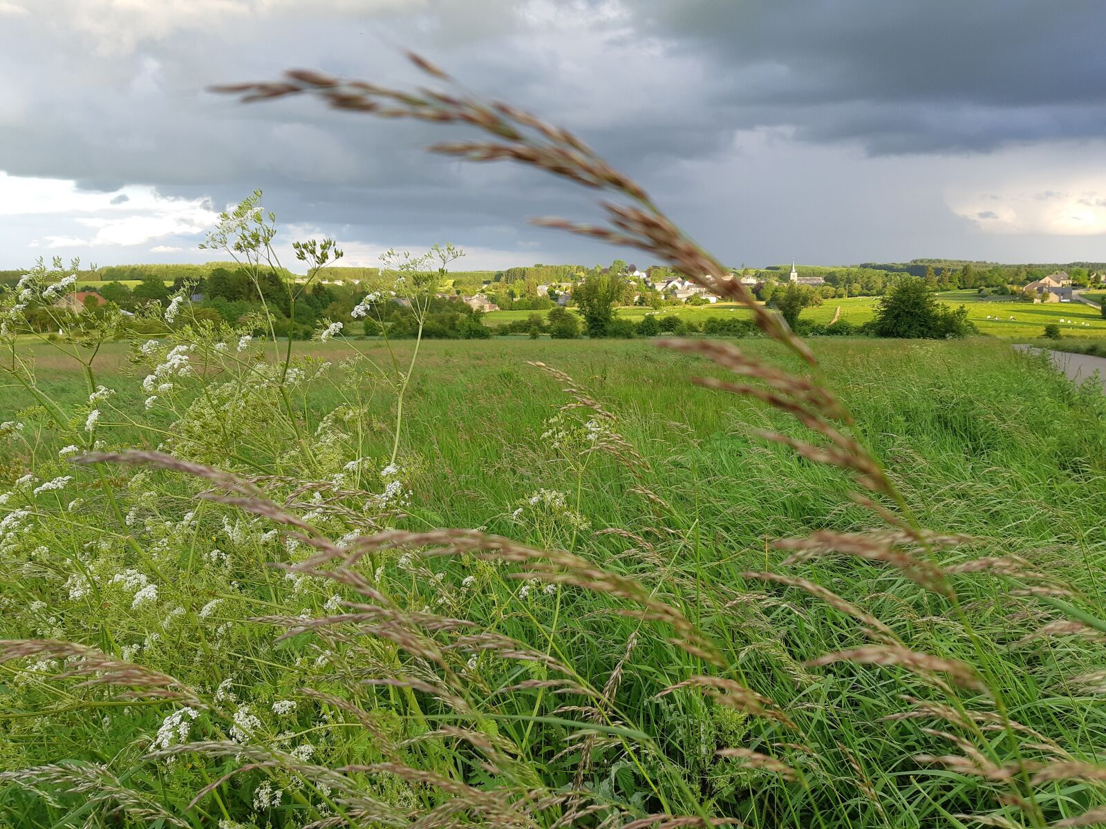 Samsung Galaxy A8(2018) sample photo. Storm, field, clouds photography