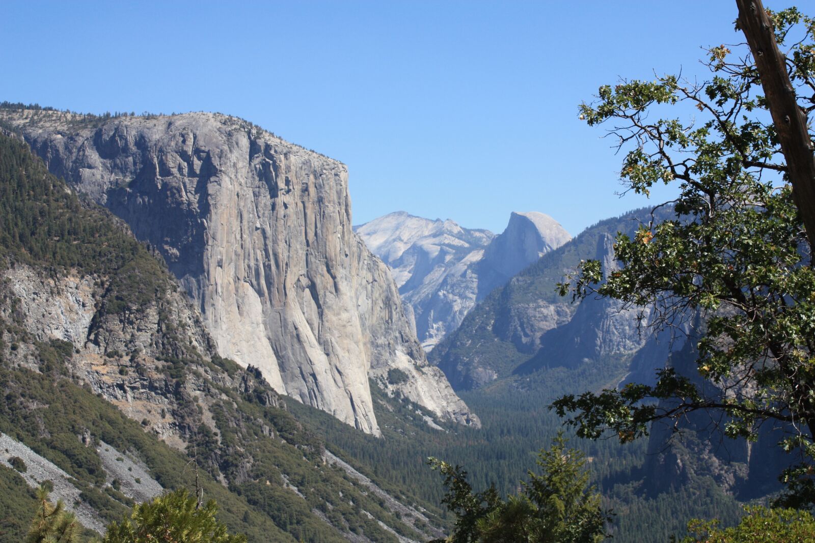 Canon EOS 450D (EOS Rebel XSi / EOS Kiss X2) sample photo. Yosemite, national, park photography