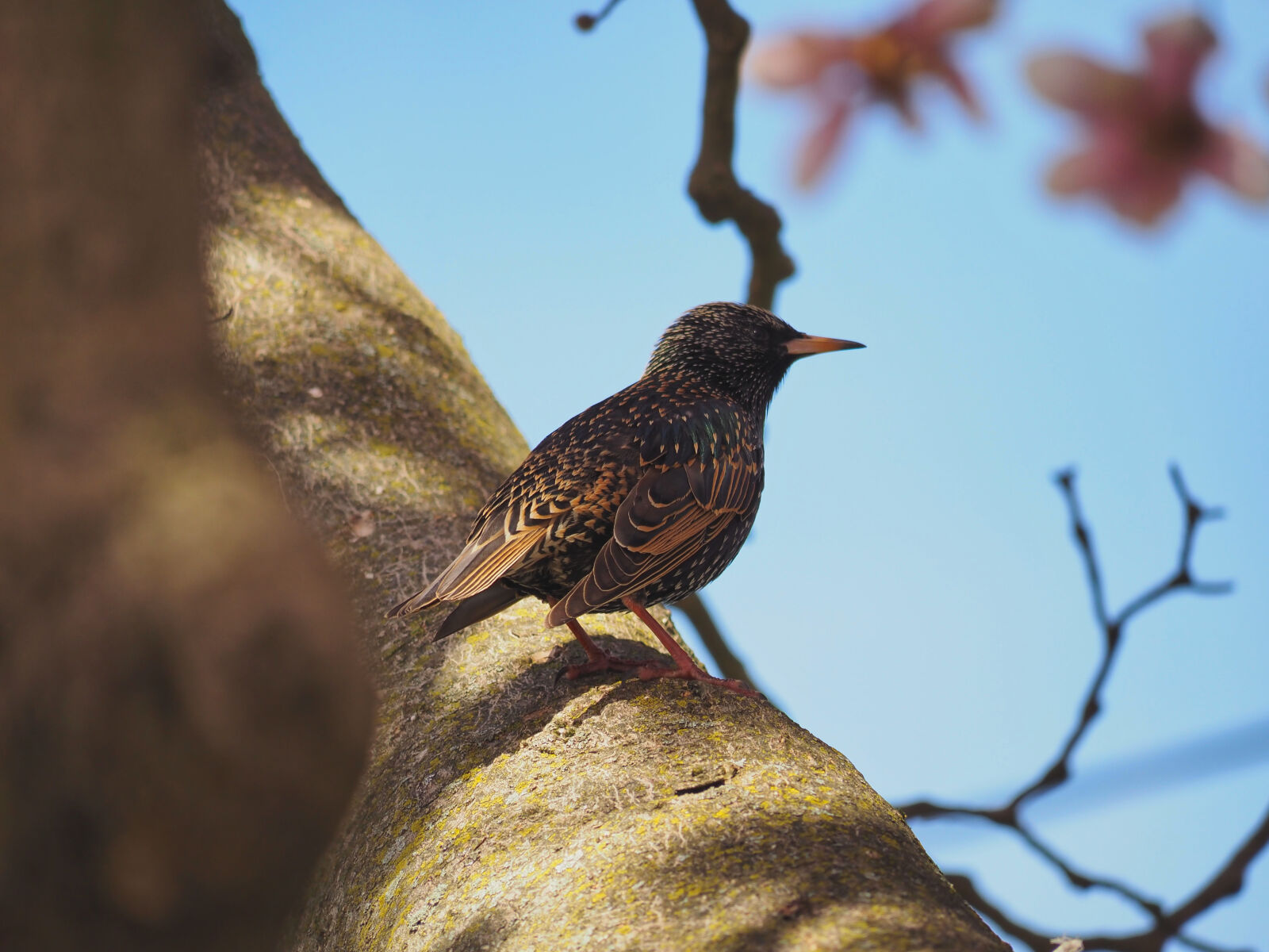 Olympus OM-D E-M1 sample photo