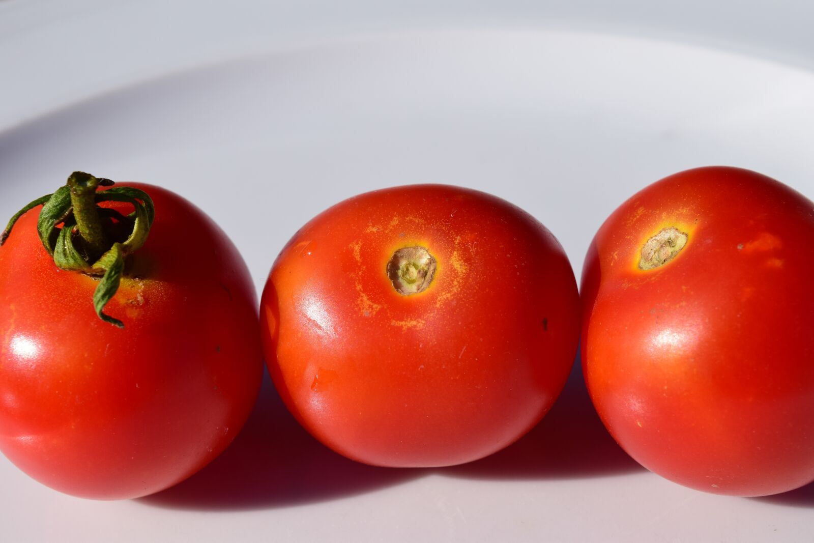 Nikon D3300 sample photo. Tomatoes, plate, eat photography