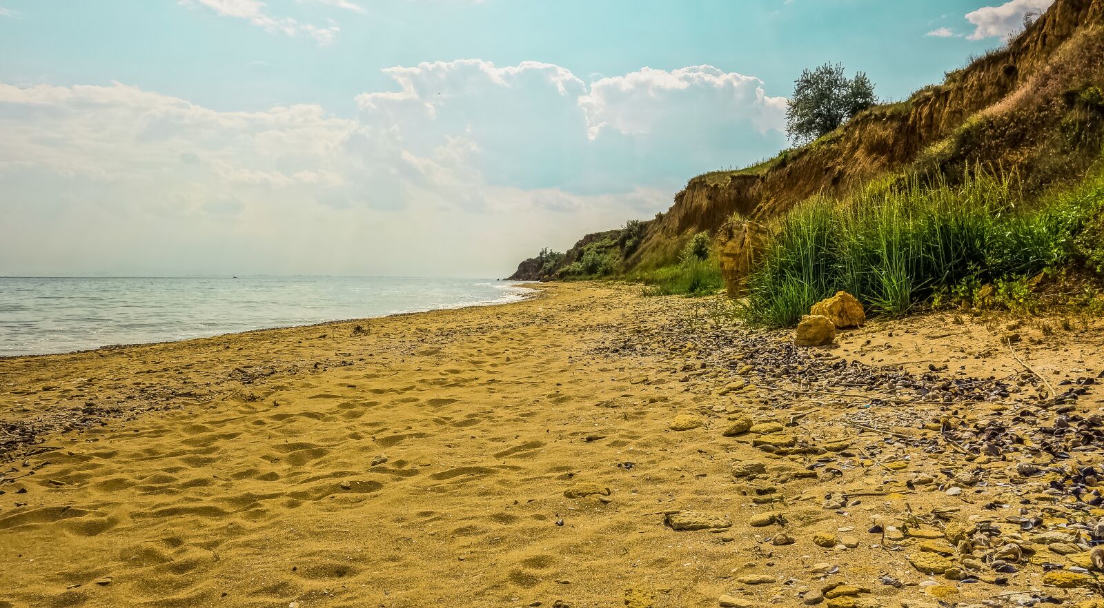 Sony Cyber-shot DSC-RX100 sample photo. Sea shore, sand, horizon photography