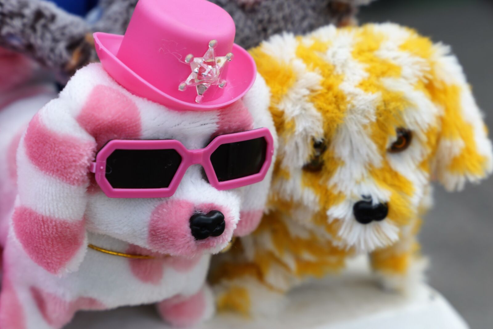 Canon EOS 6D sample photo. Toys, dog puppy, colorful photography