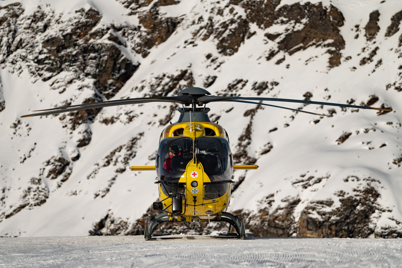 Nikon D780 sample photo