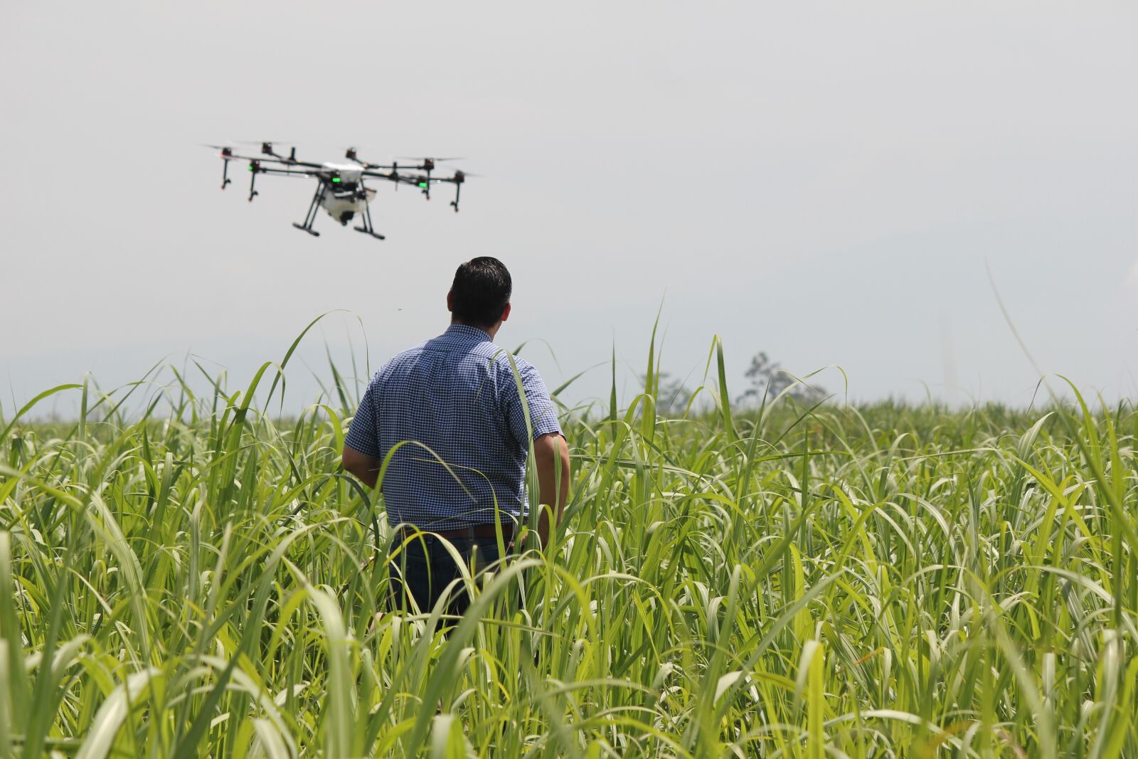 Canon EOS 550D (EOS Rebel T2i / EOS Kiss X4) sample photo. Drone, precision agriculture, crops photography