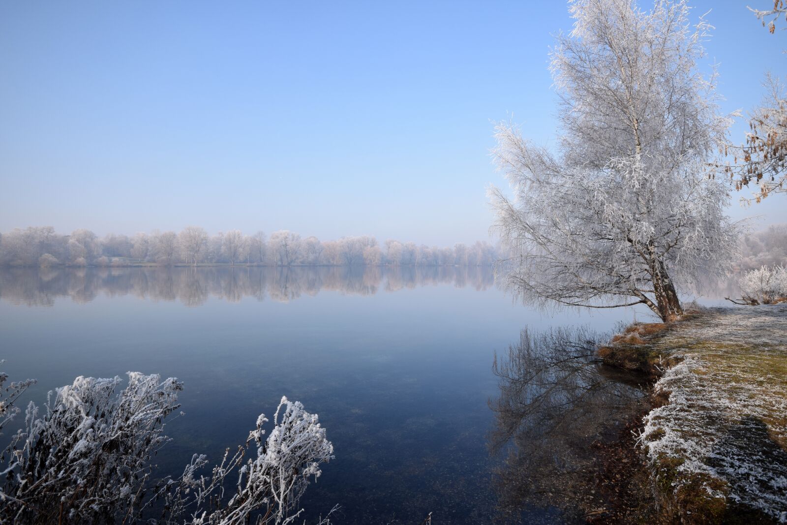 Nikon D5300 sample photo. Lake, cold, winter photography