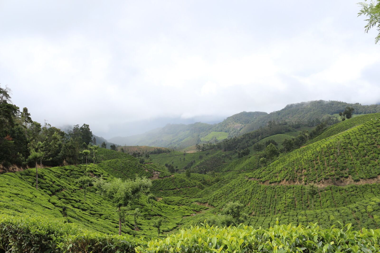 Canon EOS 700D (EOS Rebel T5i / EOS Kiss X7i) sample photo. Landscape photography